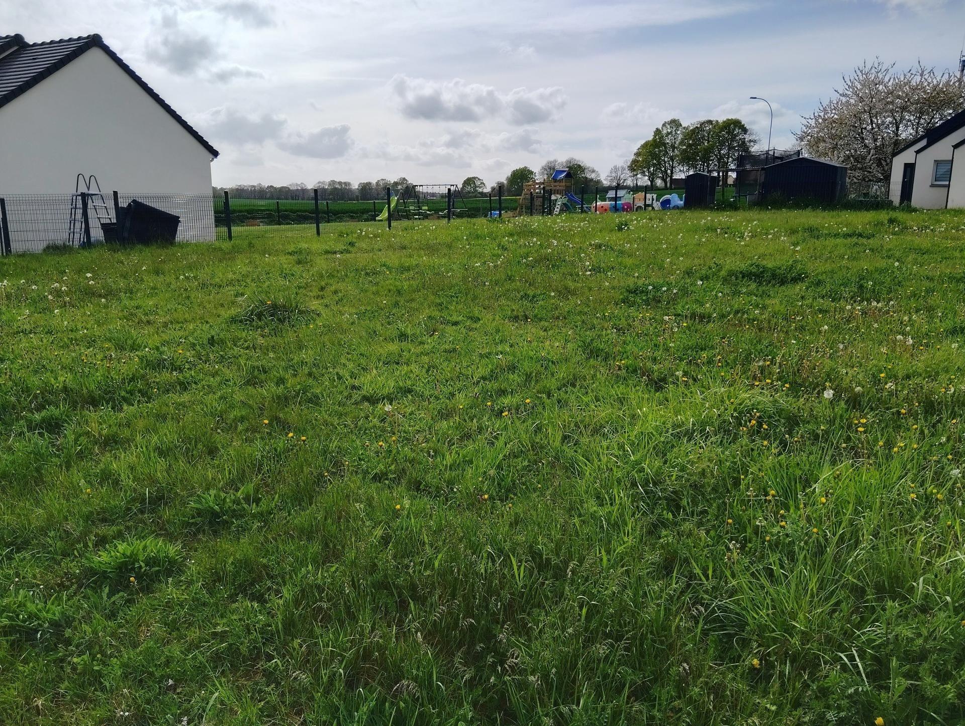 Miniature photo - 3 / 3