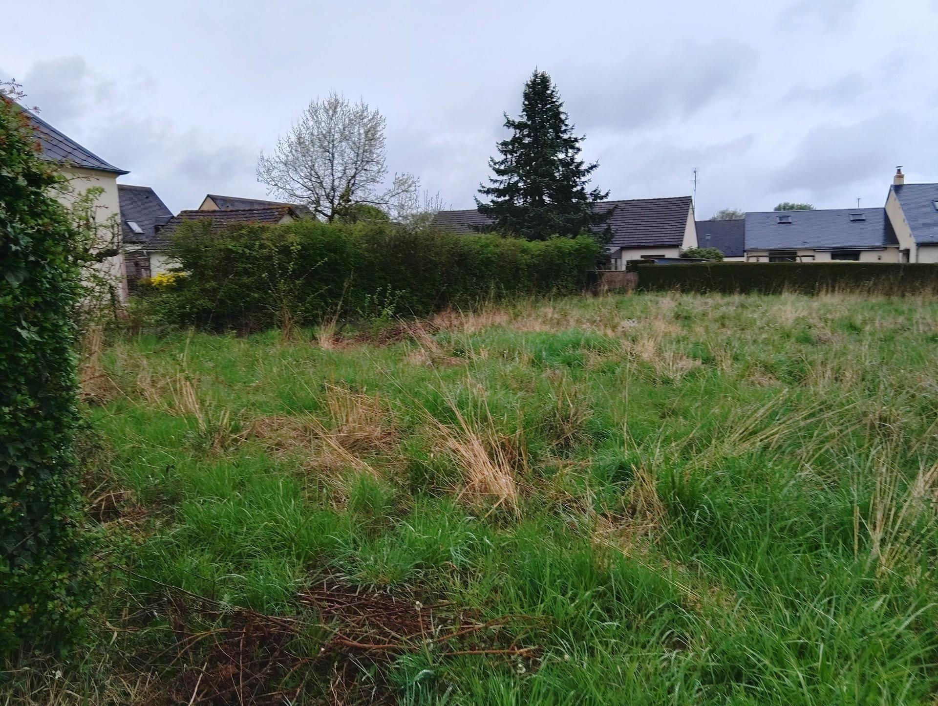 Miniature photo - 2 / 4