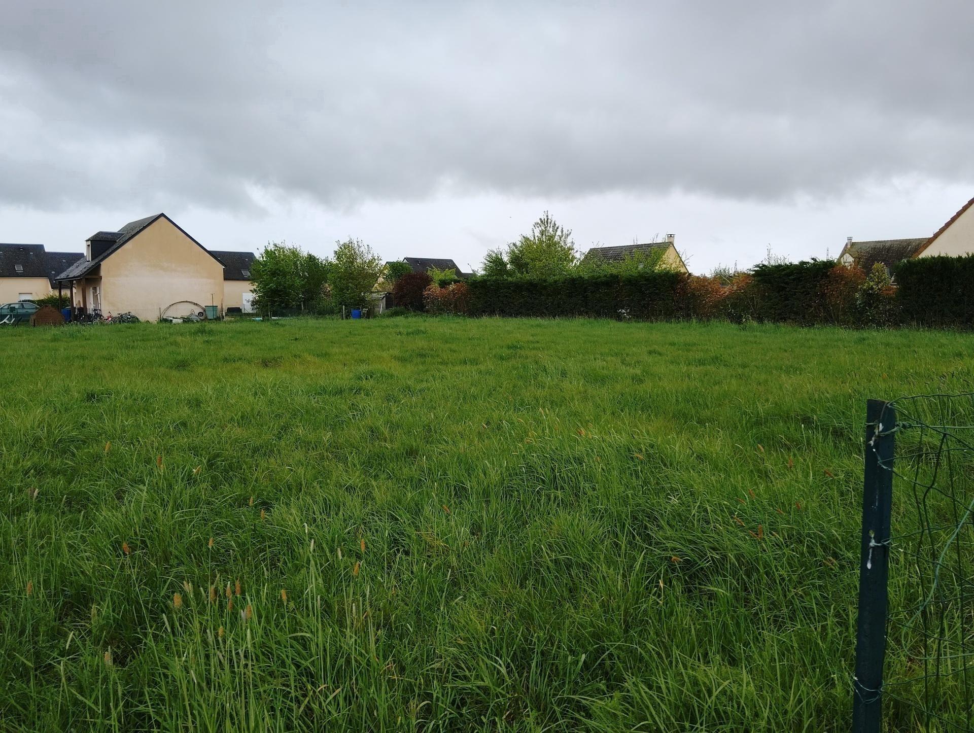 Miniature photo - 4 / 4