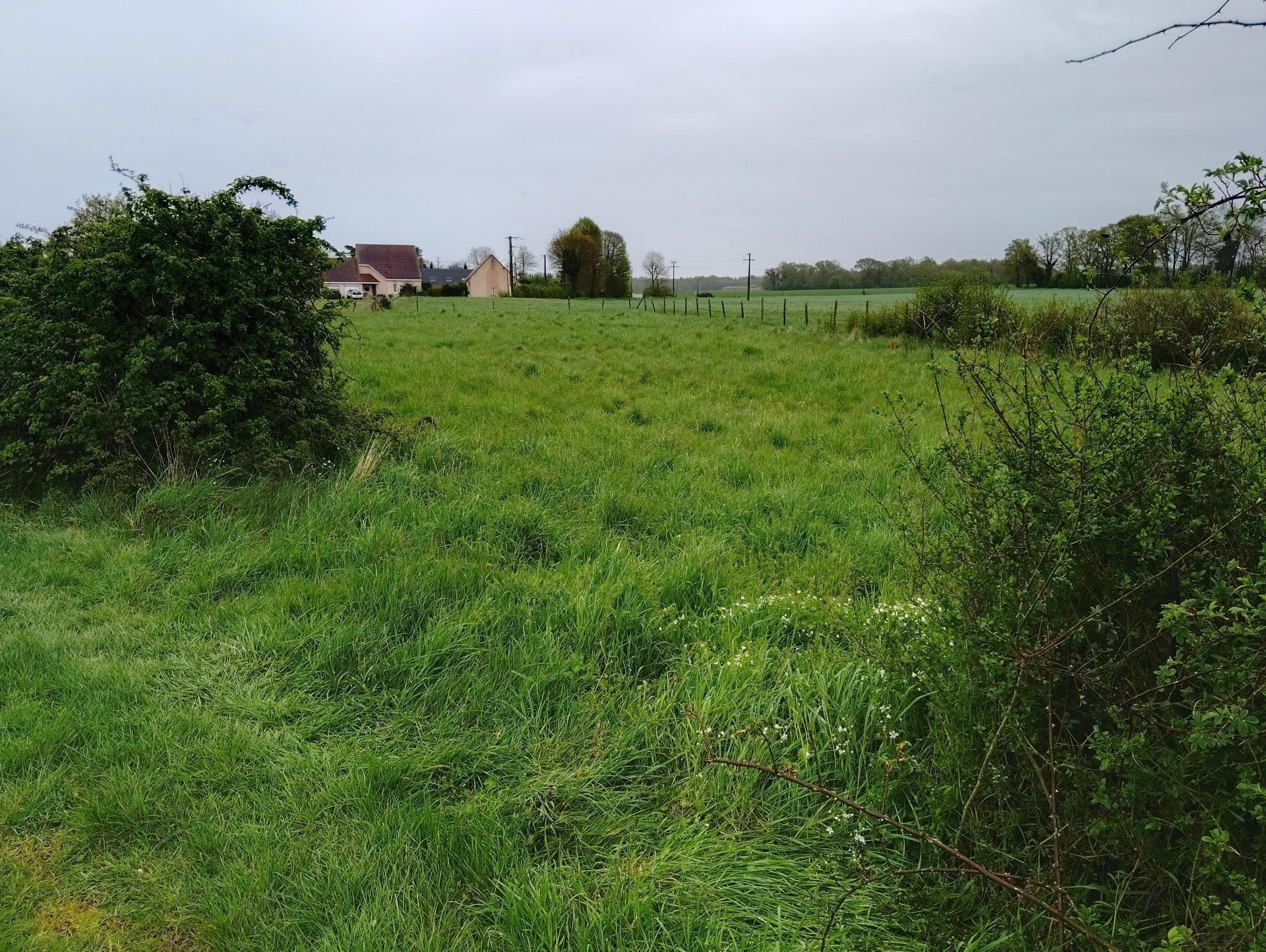 Miniature photo - 4 / 4