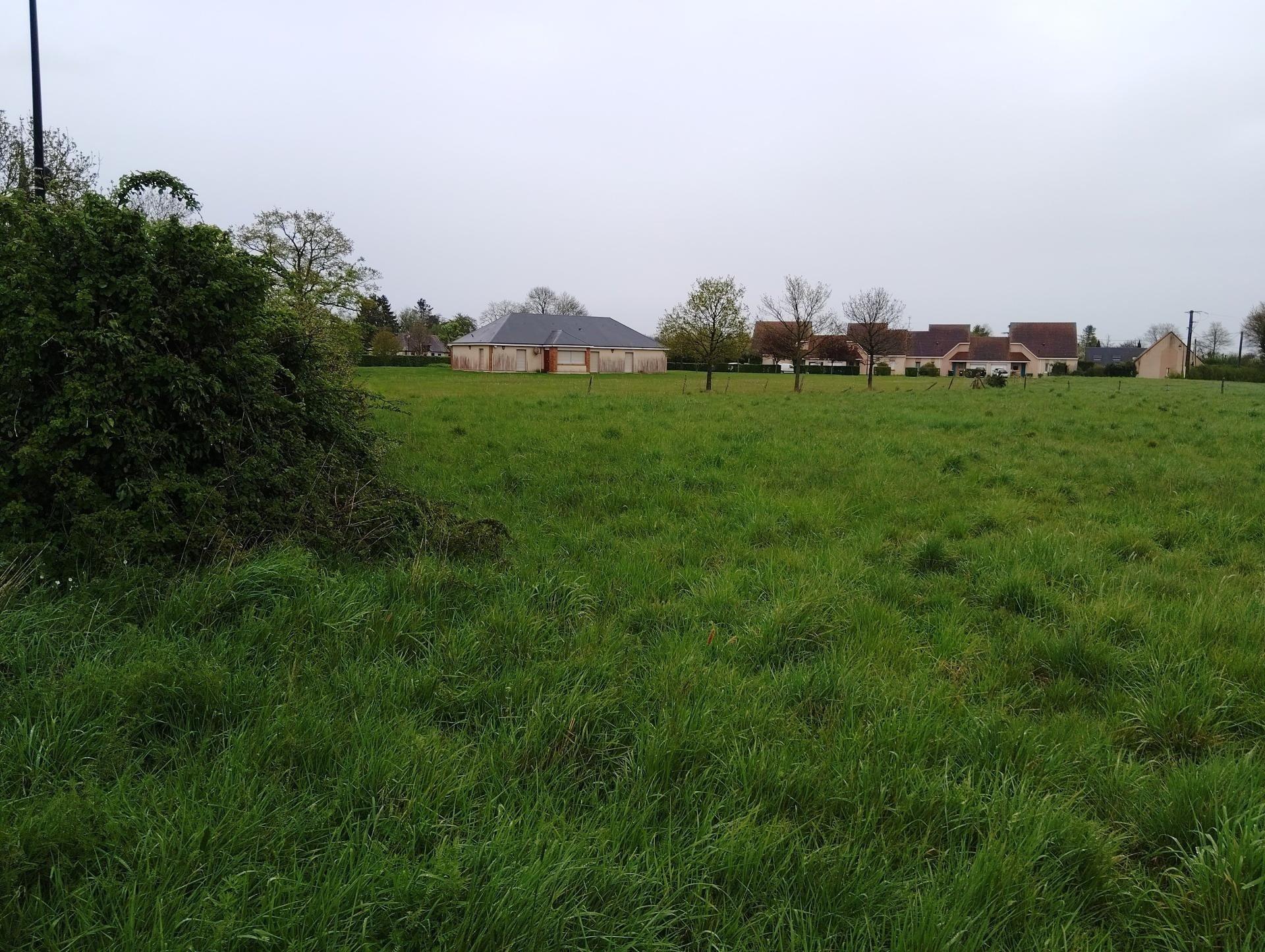 Miniature photo - 2 / 4