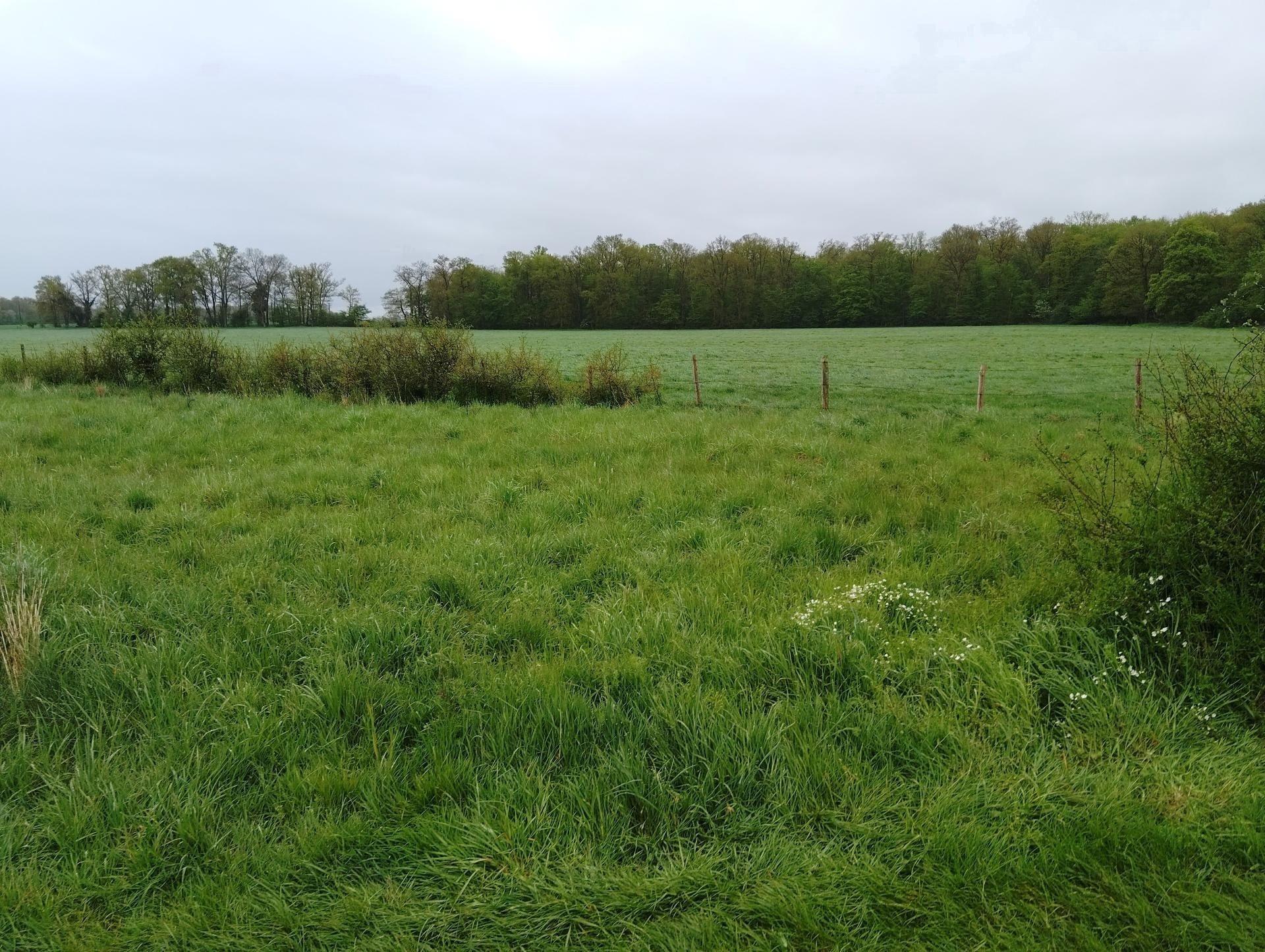 Photographie descriptive du bien