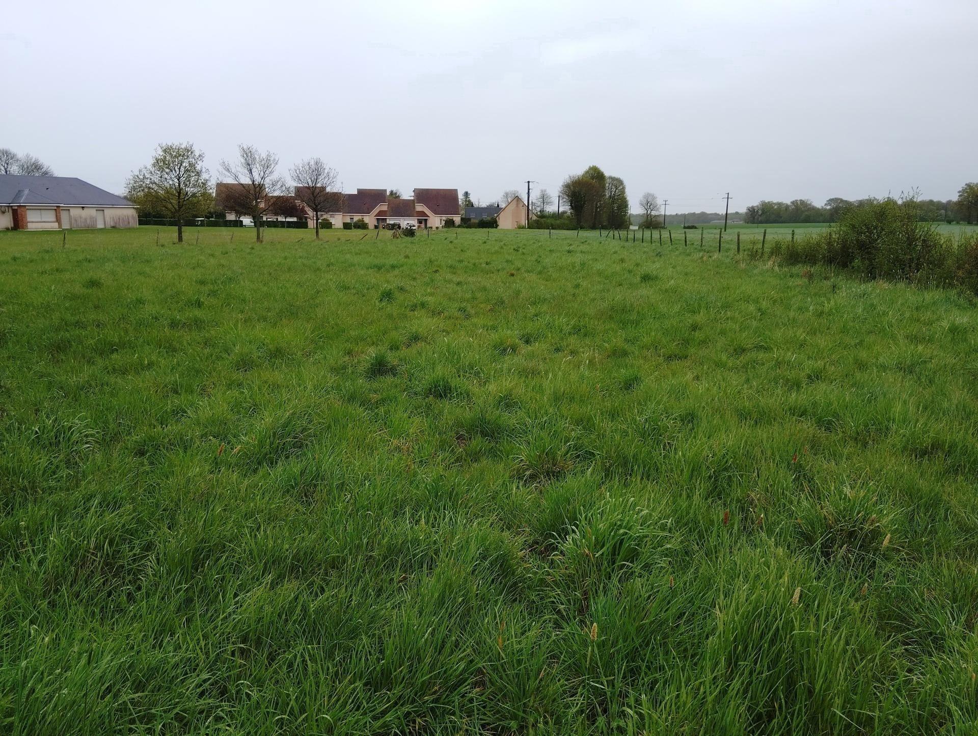 Miniature photo - 3 / 4