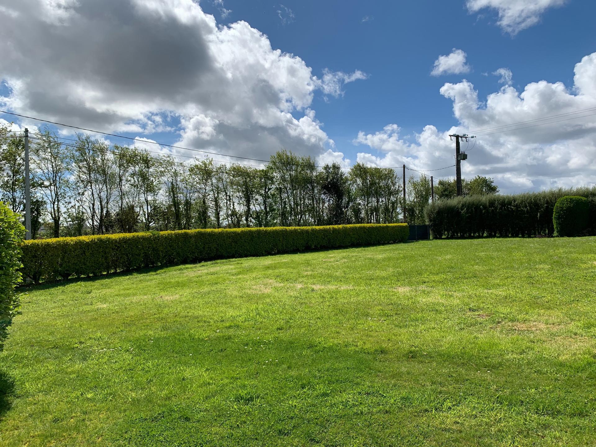 Miniature photo - 4 / 9