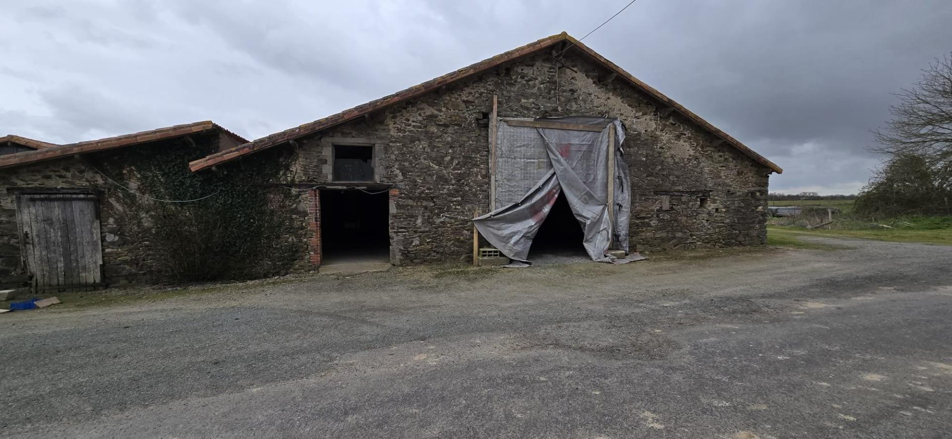 Miniature photo - 2 / 7