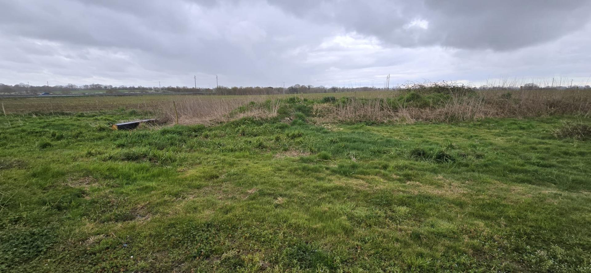 Miniature photo - 7 / 7