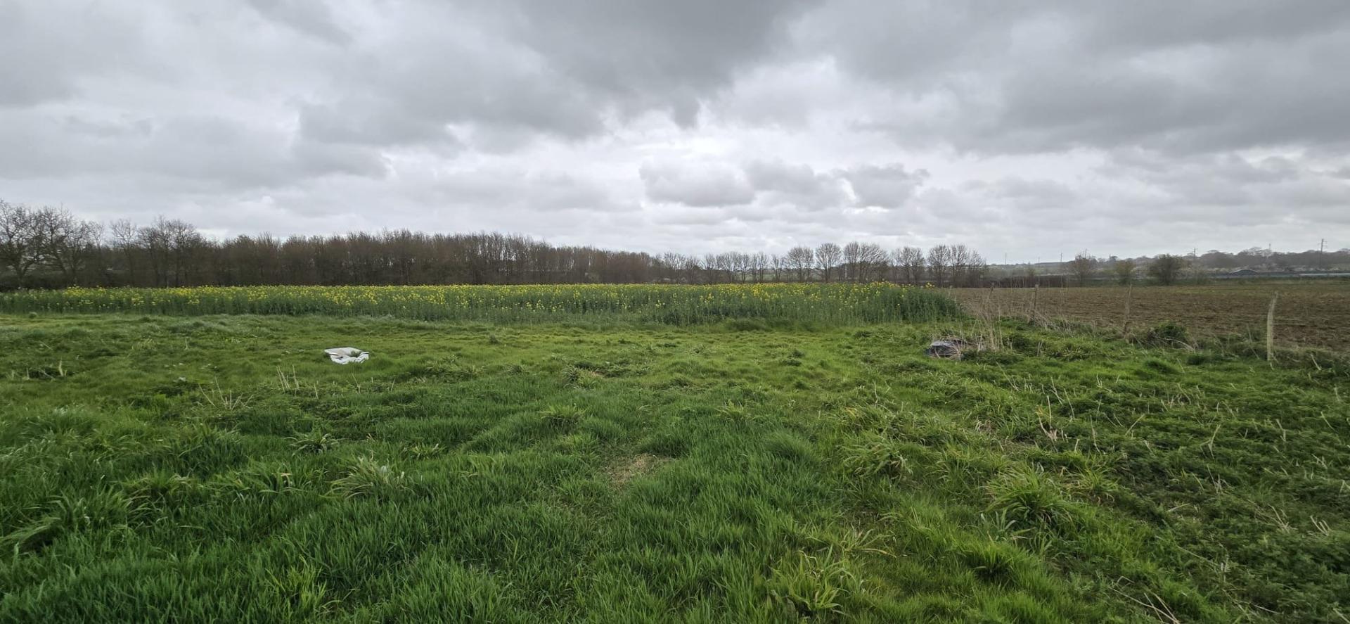 Miniature photo - 6 / 7