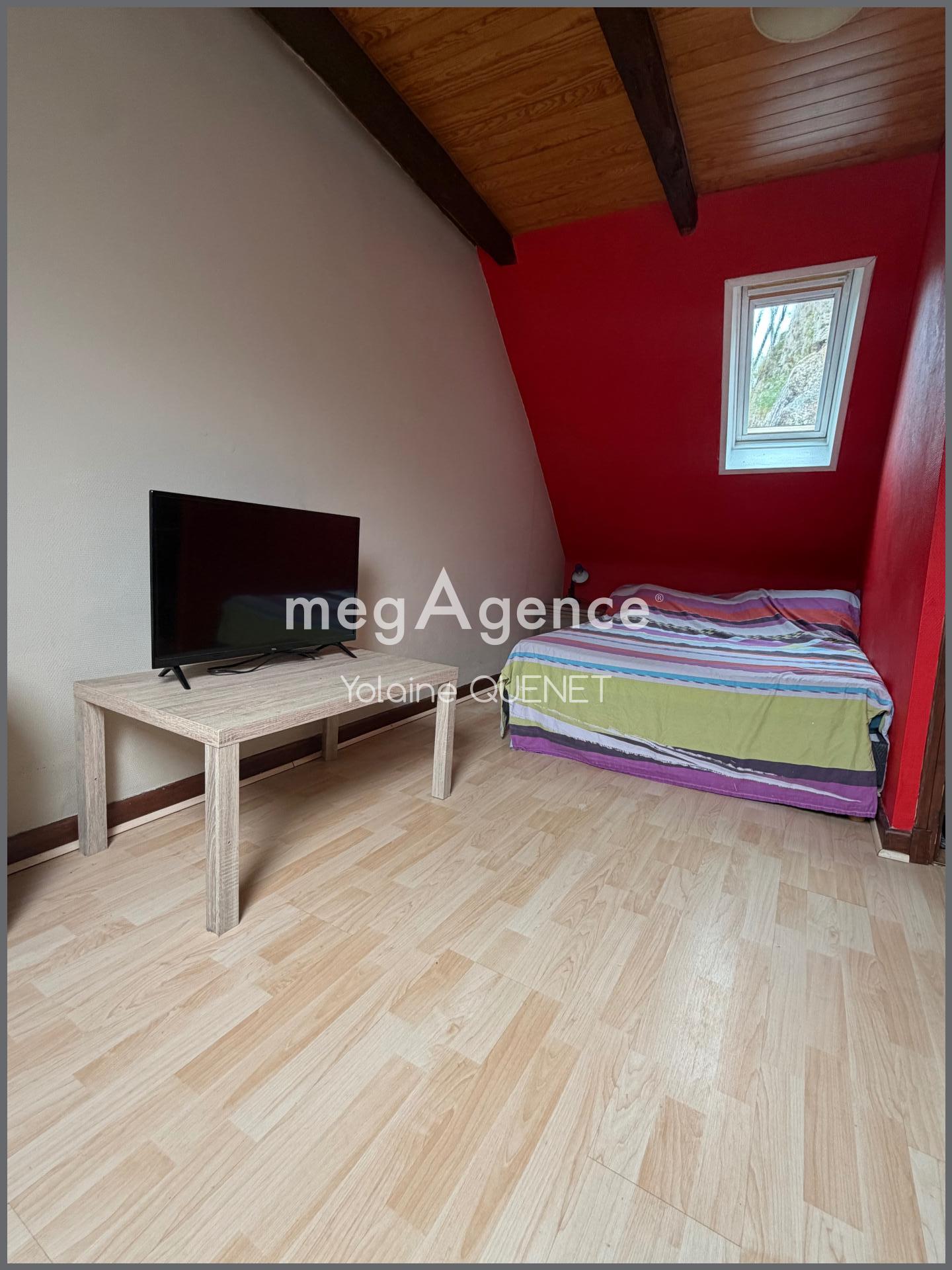 Miniature photo - 4 / 13