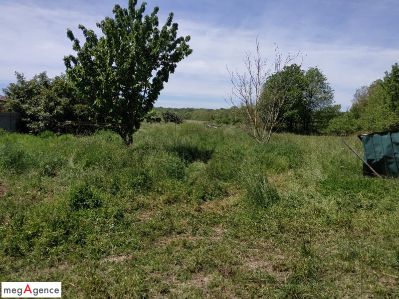 Miniature photo - 4 / 12