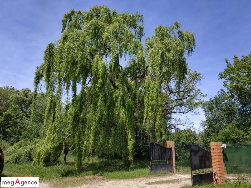 Miniature photo - 5 / 12