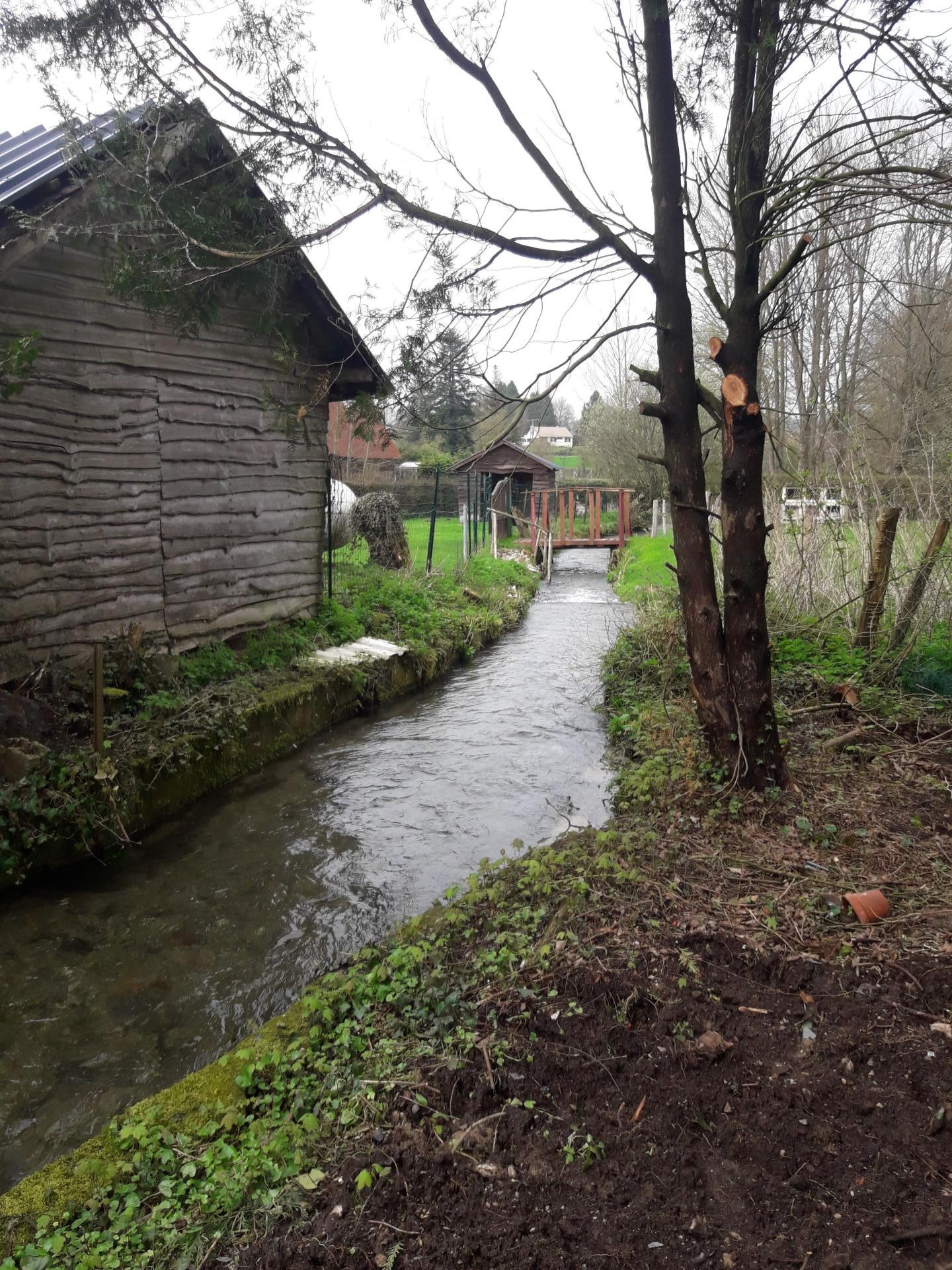 Miniature photo - 4 / 9