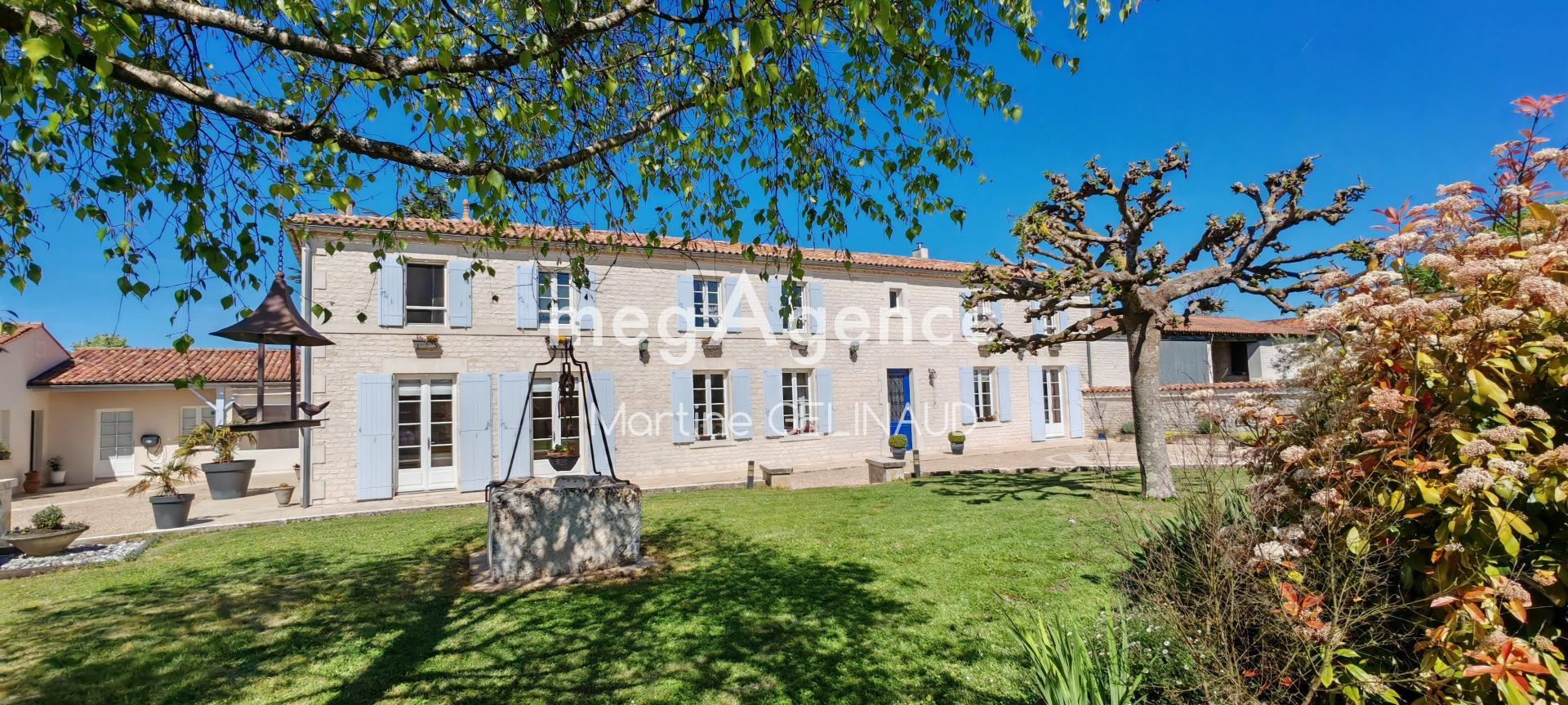 Miniature photo - 4 / 12