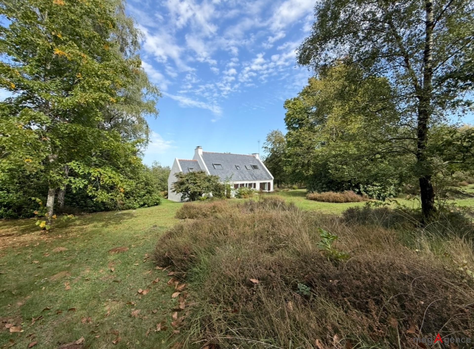 Miniature photo - 18 / 18