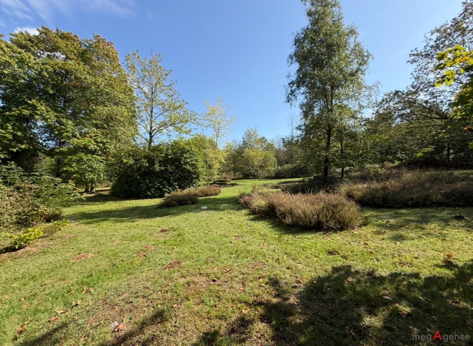 Miniature photo - 17 / 18