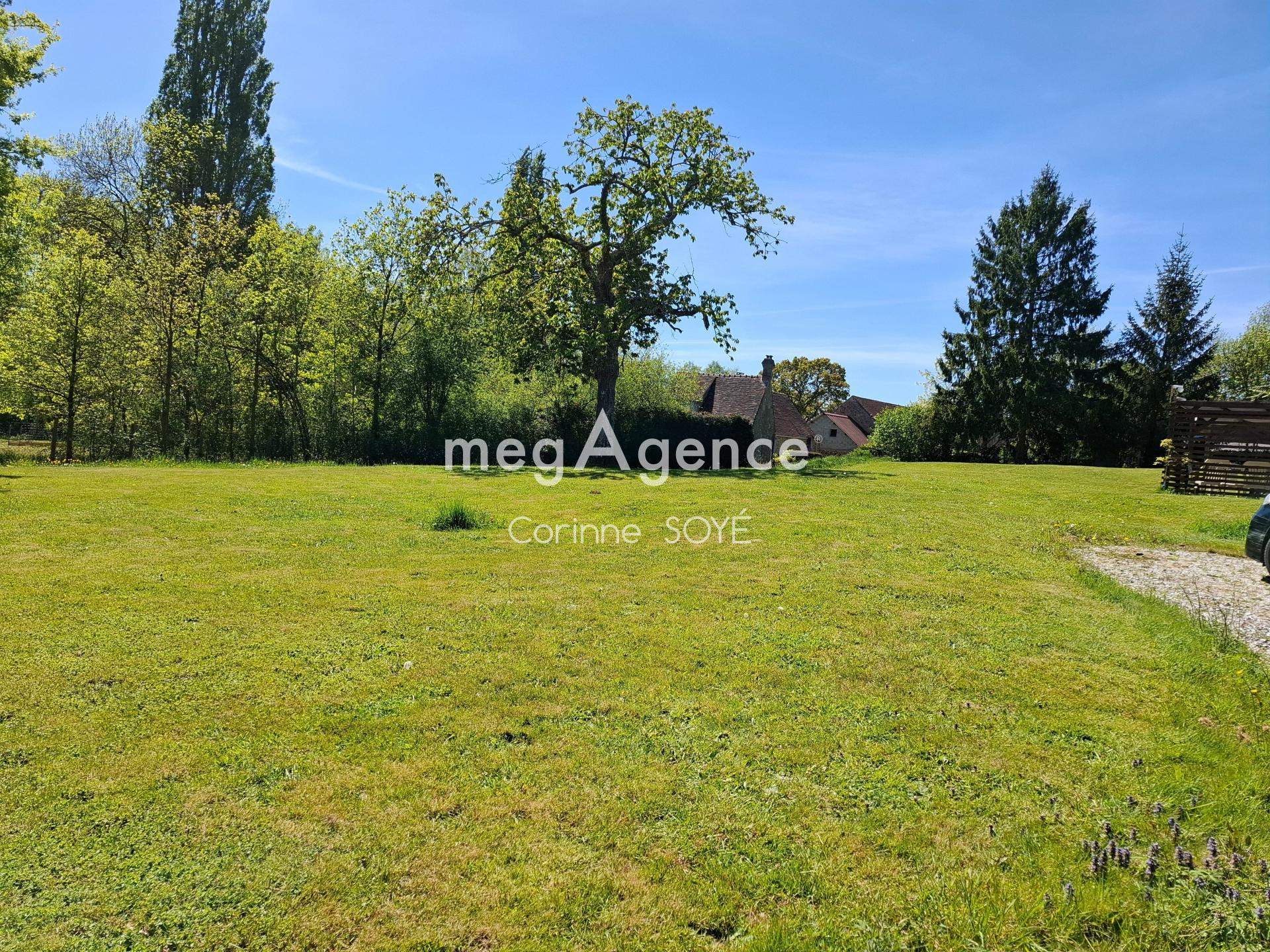 Miniature photo - 2 / 7