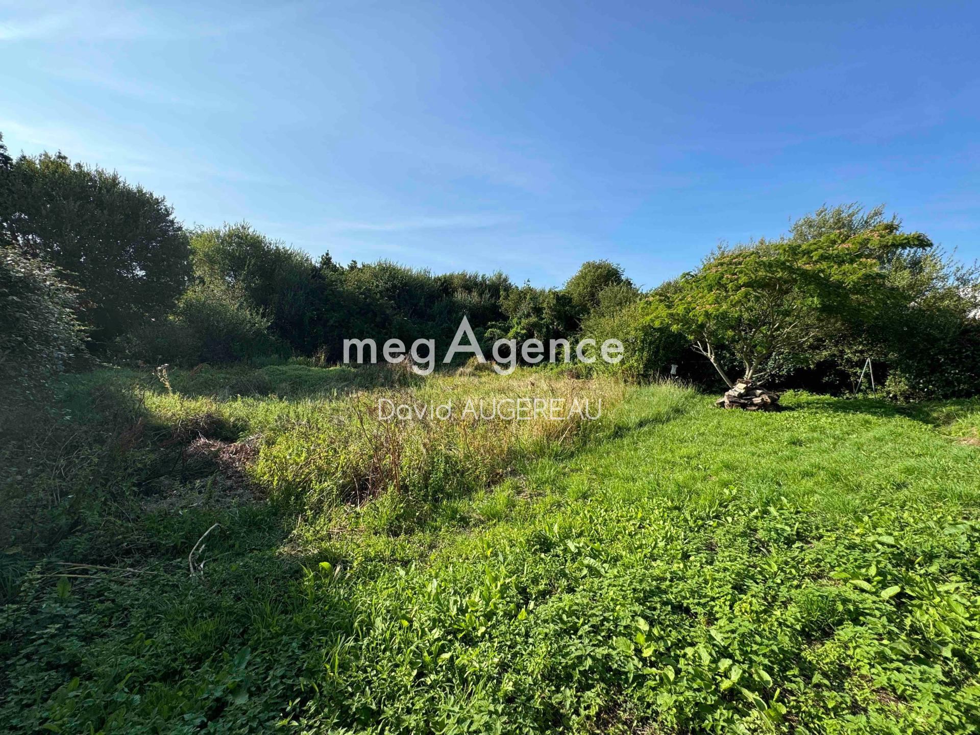 Miniature photo - 3 / 3