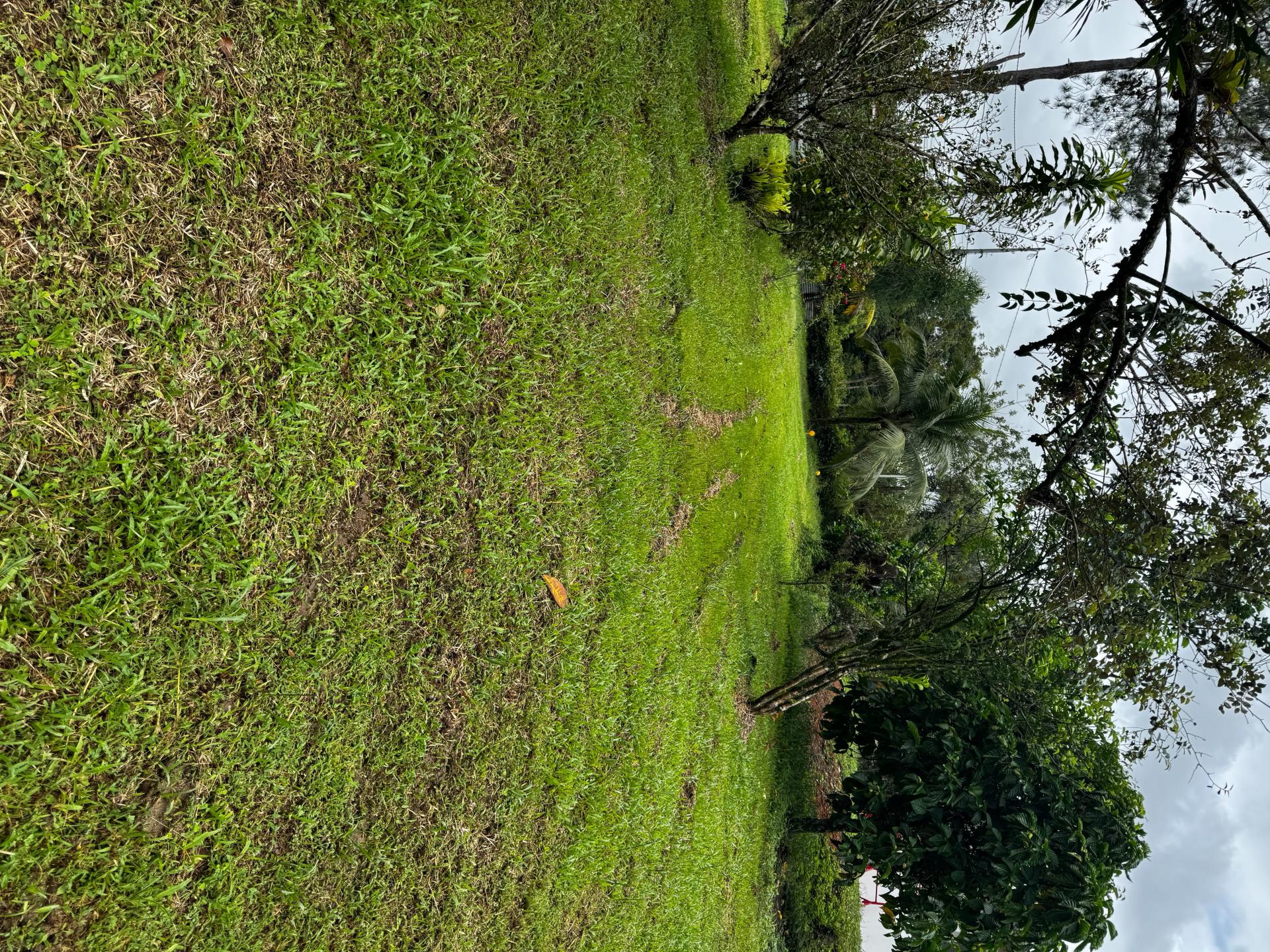 Miniature photo - 2 / 3
