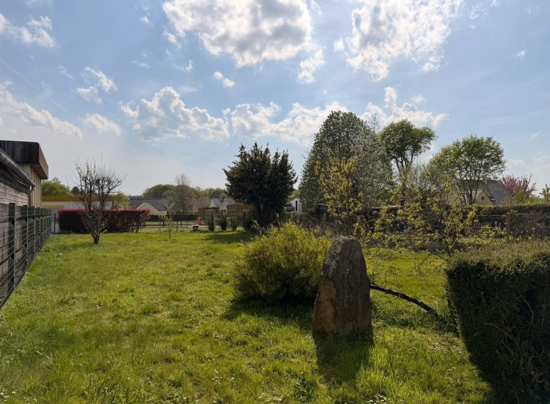 Miniature photo - 3 / 12