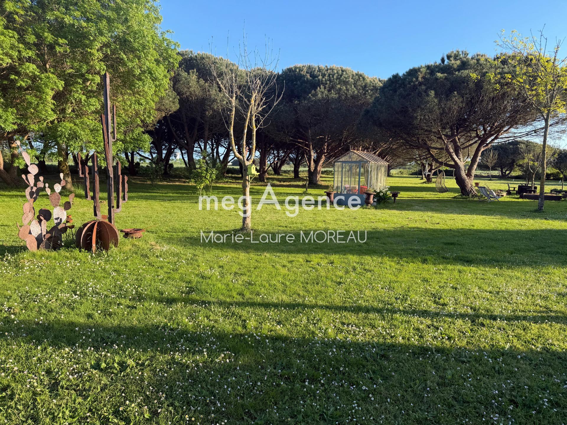 Miniature photo - 2 / 3