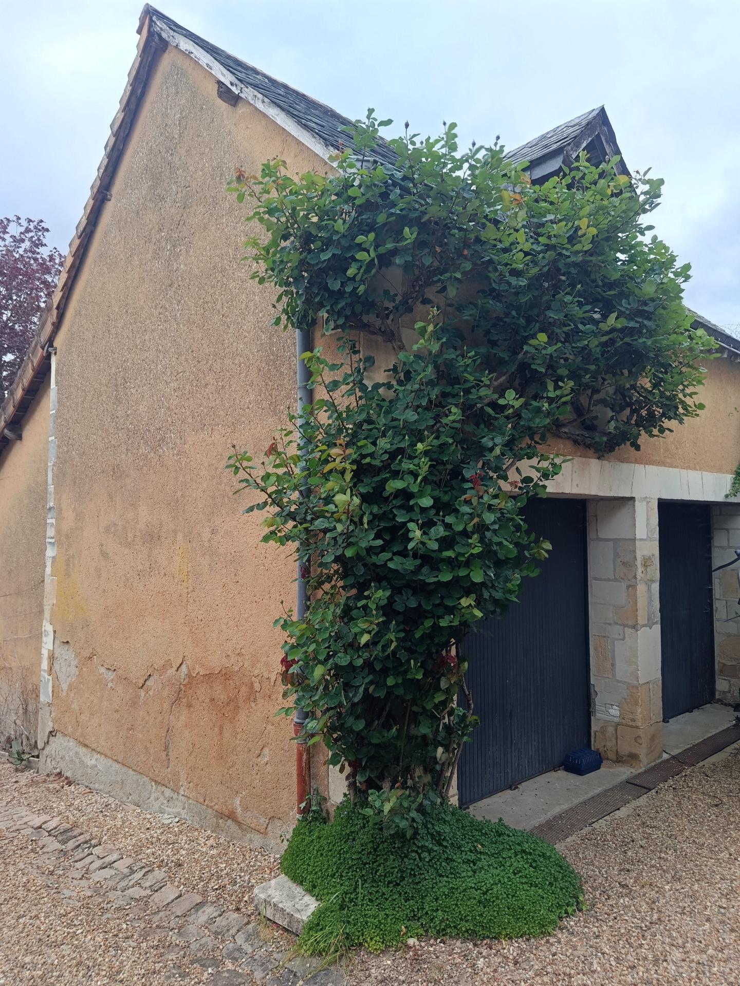 Miniature photo - 13 / 13