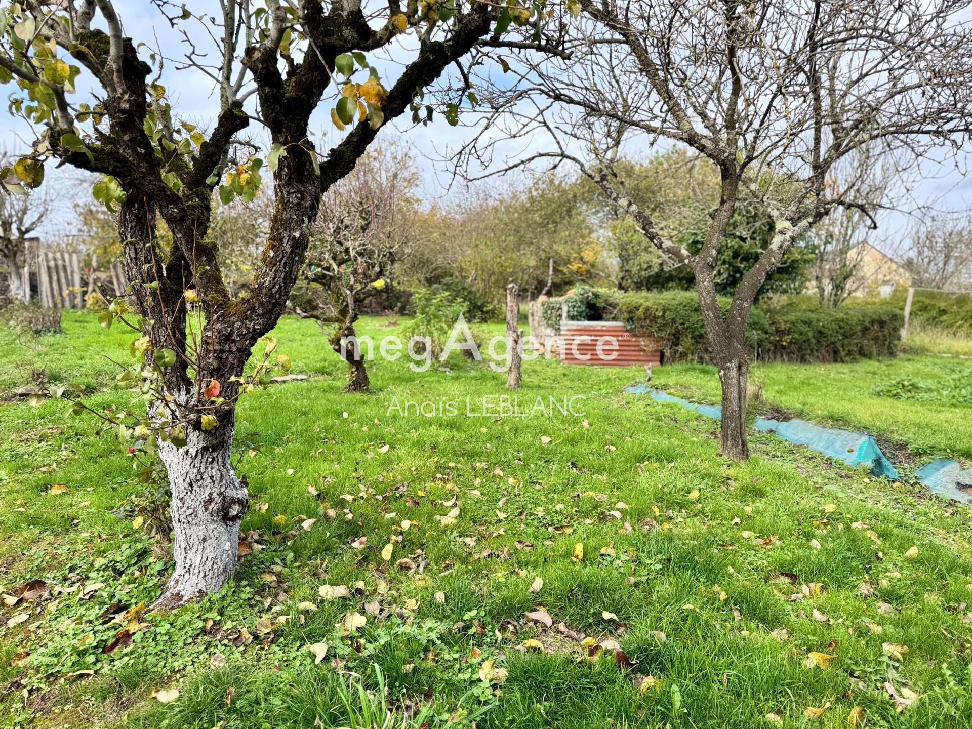 Miniature photo - 6 / 6