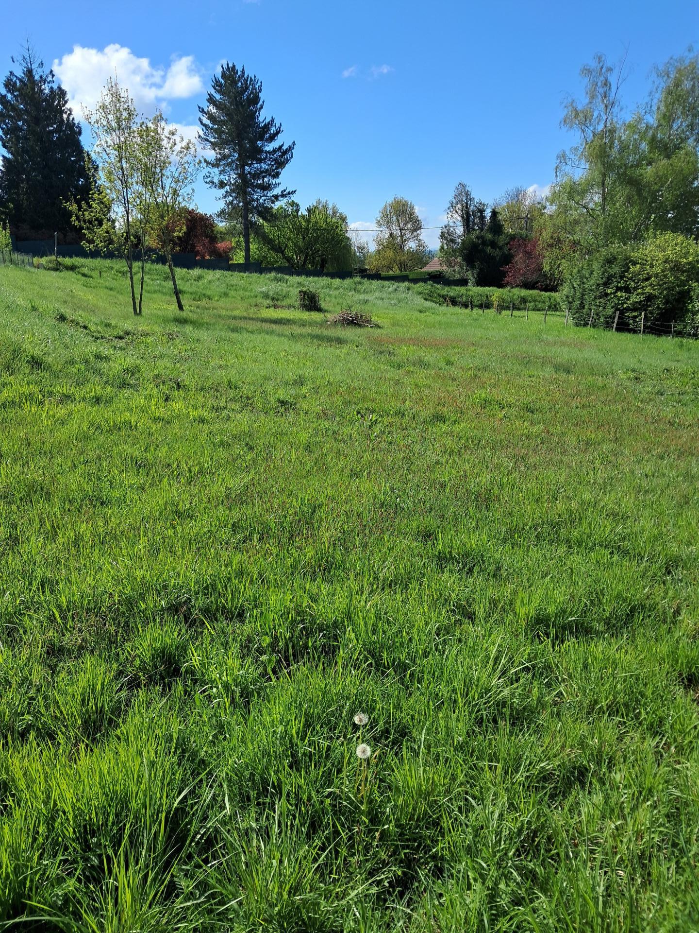 Miniature photo - 2 / 3