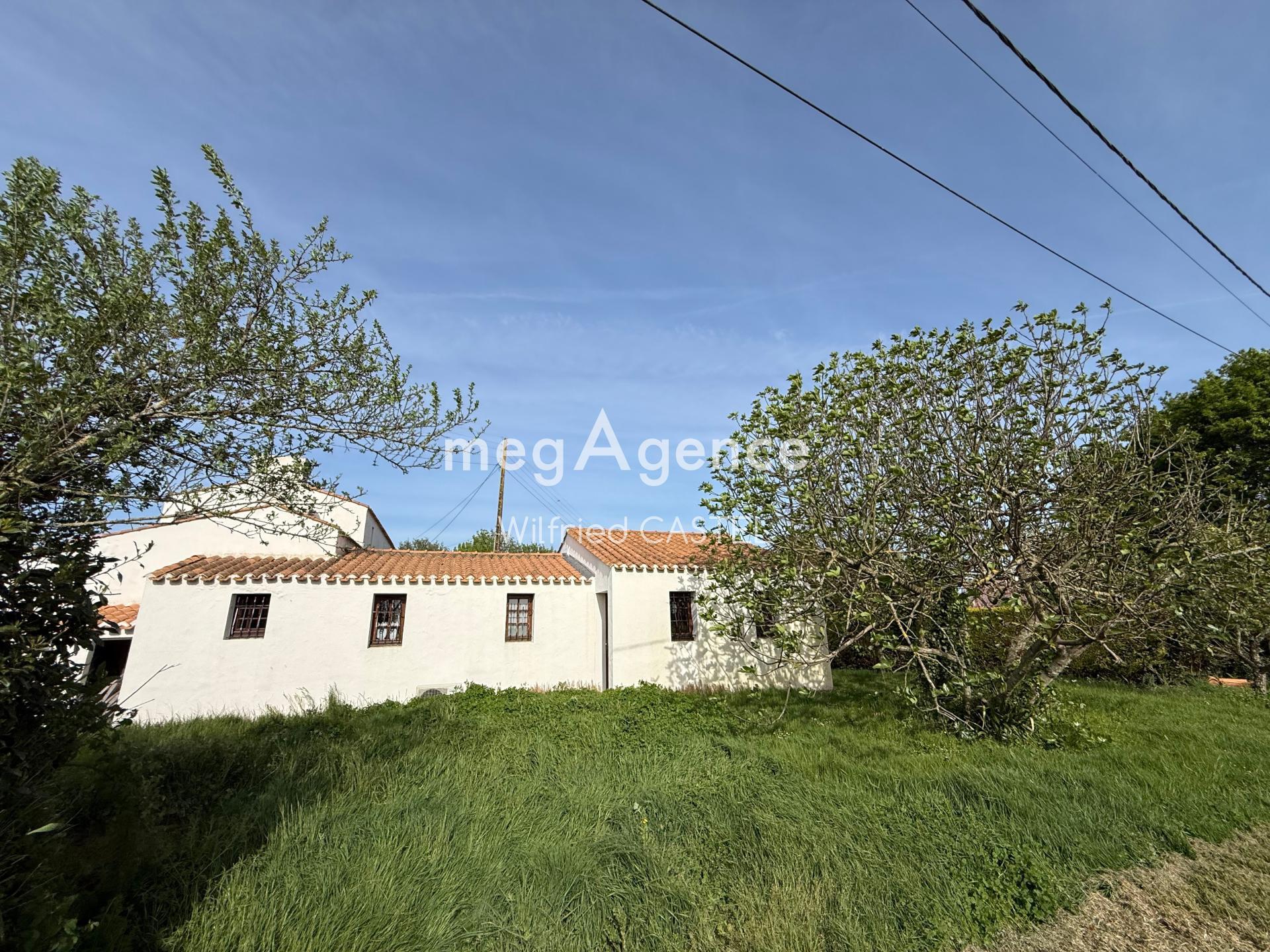 Miniature photo - 11 / 12