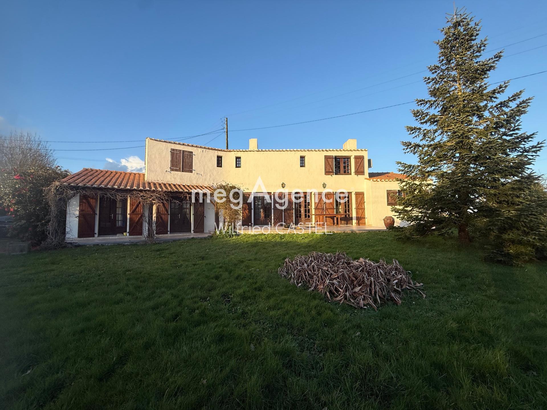 Miniature photo - 10 / 12