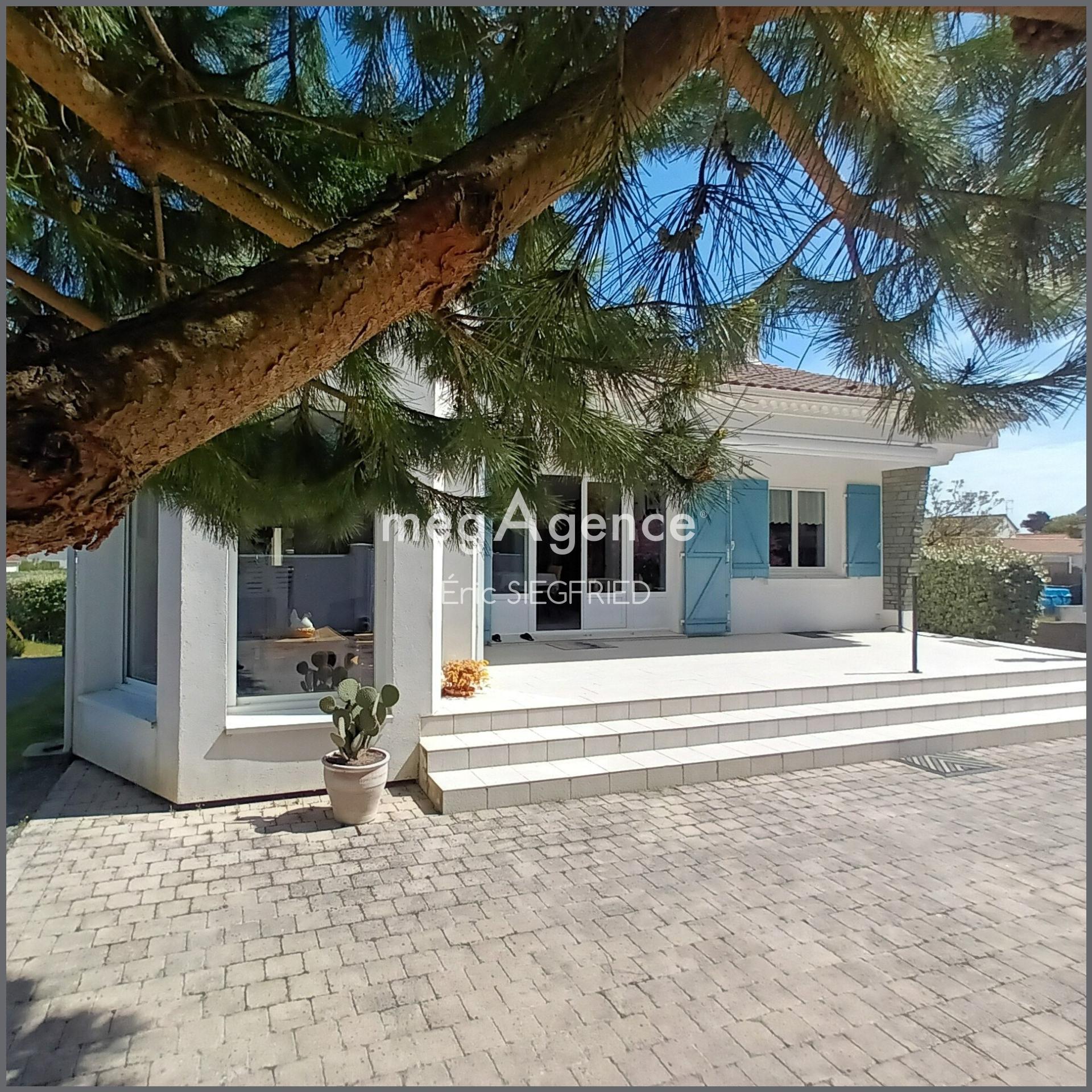 Miniature photo - 2 / 12