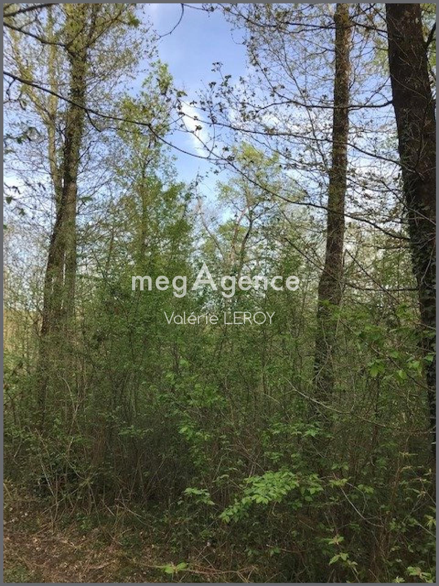 Miniature photo - 2 / 3