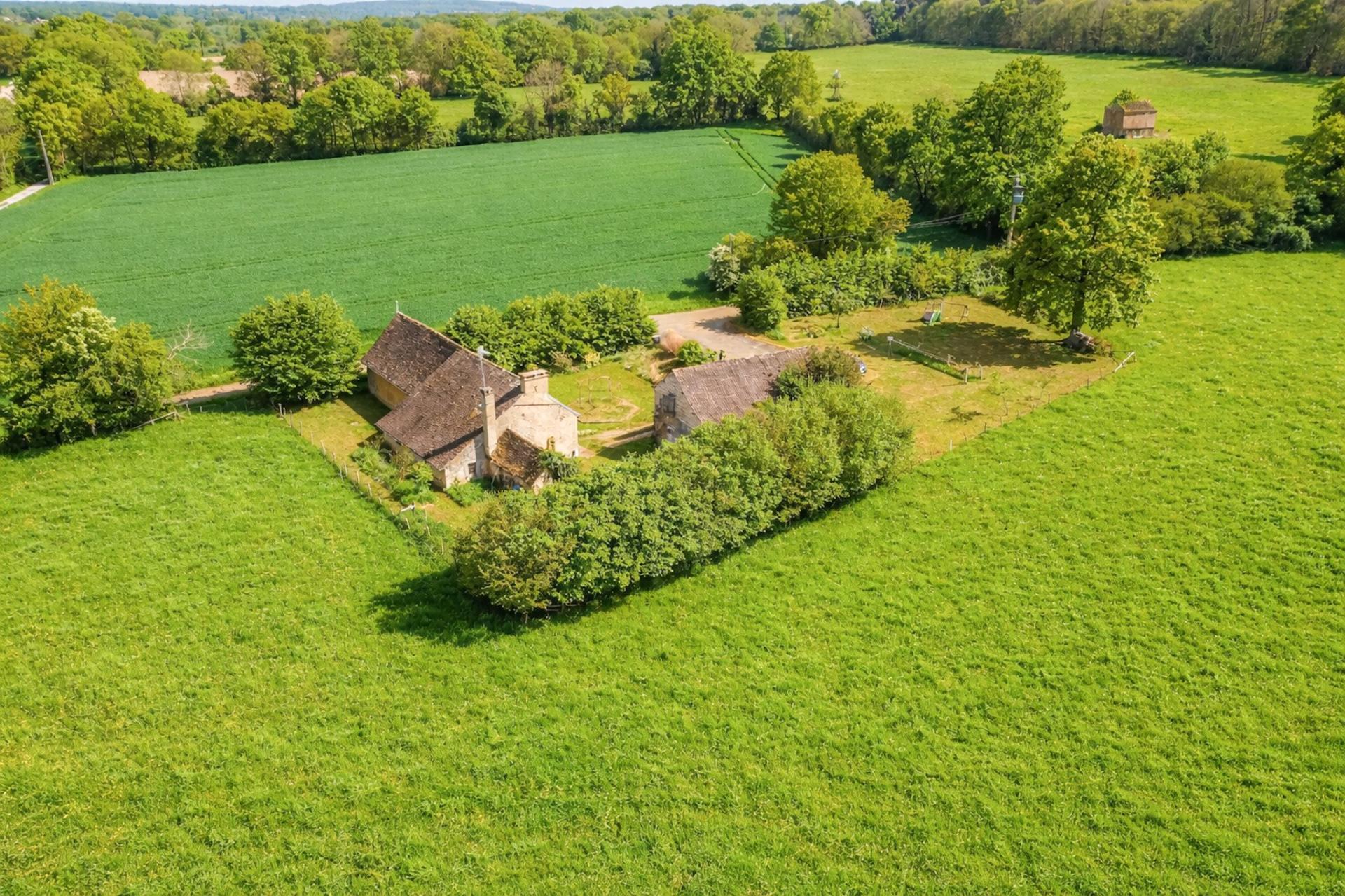 Miniature photo - 12 / 14