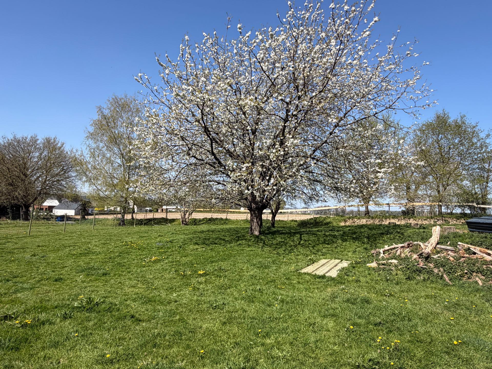 Miniature photo - 17 / 20