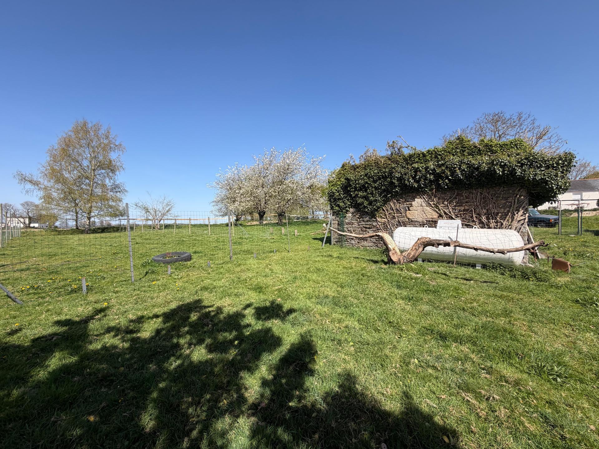 Miniature photo - 20 / 20