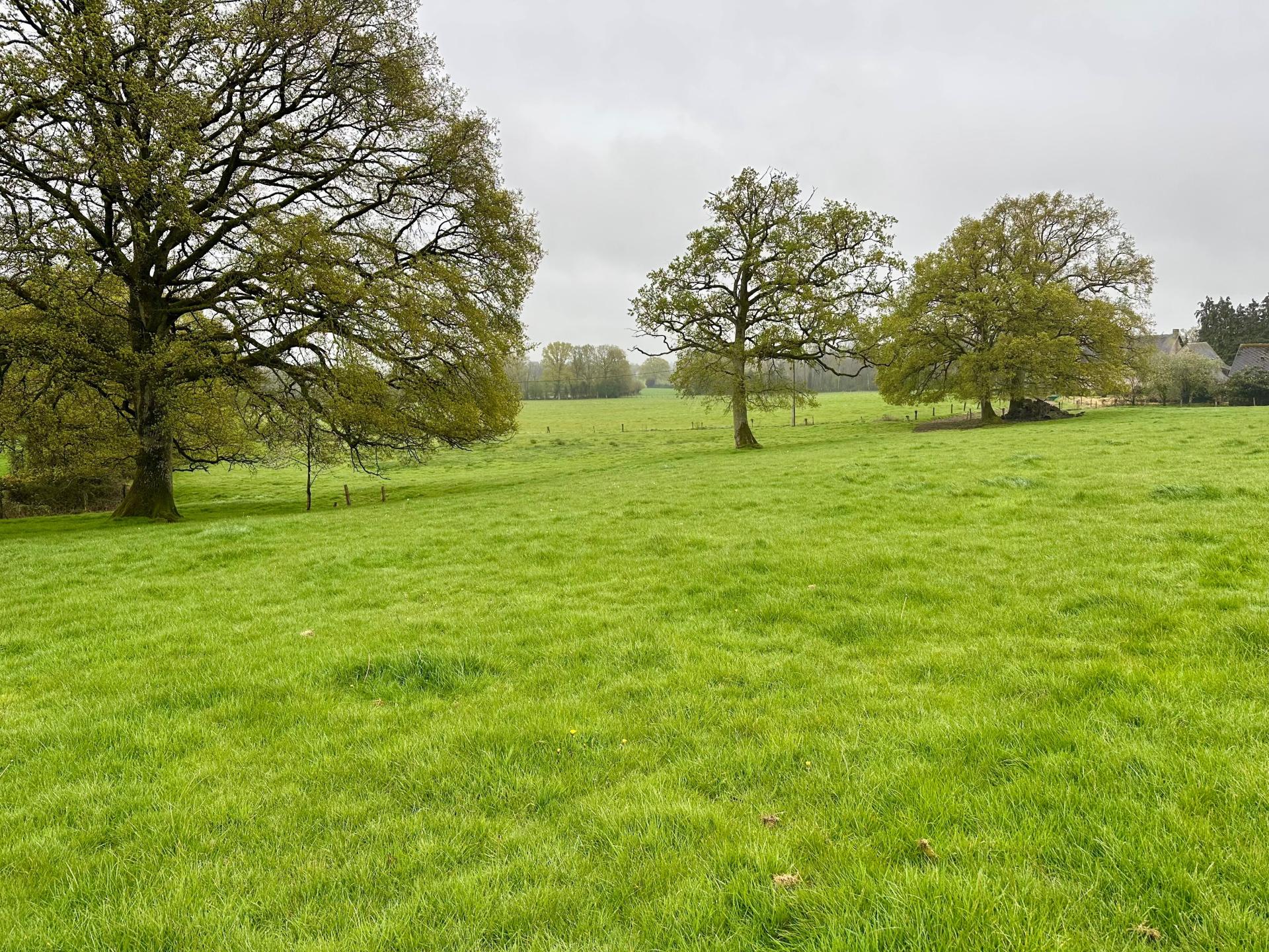 Miniature photo - 6 / 13