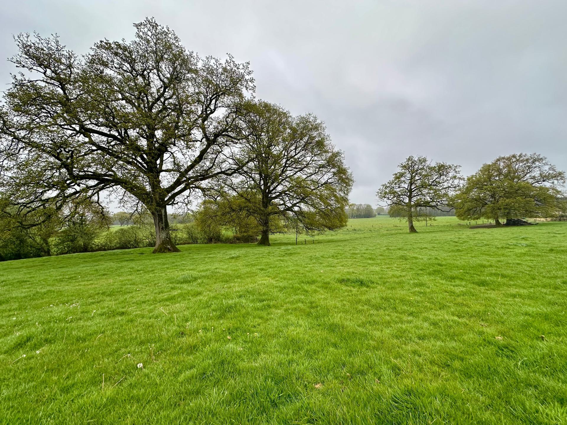 Miniature photo - 7 / 13