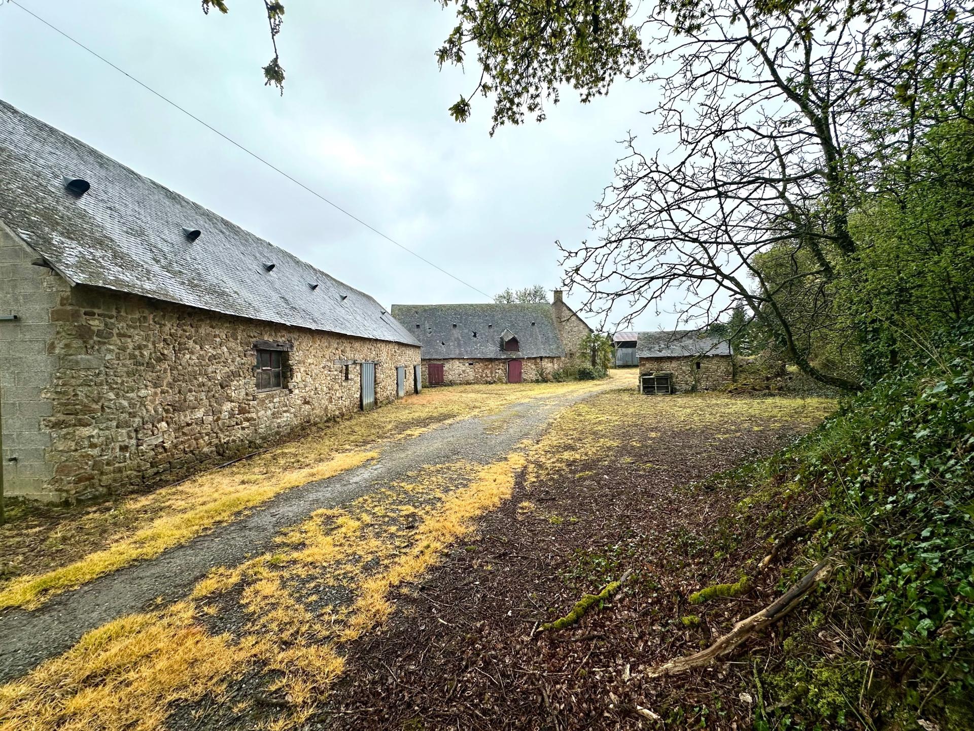 Miniature photo - 3 / 13