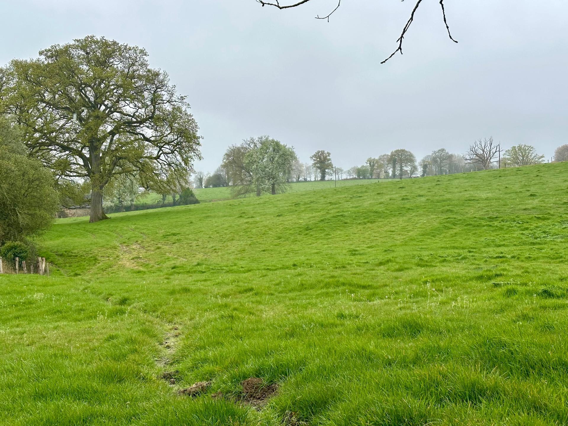 Miniature photo - 5 / 13