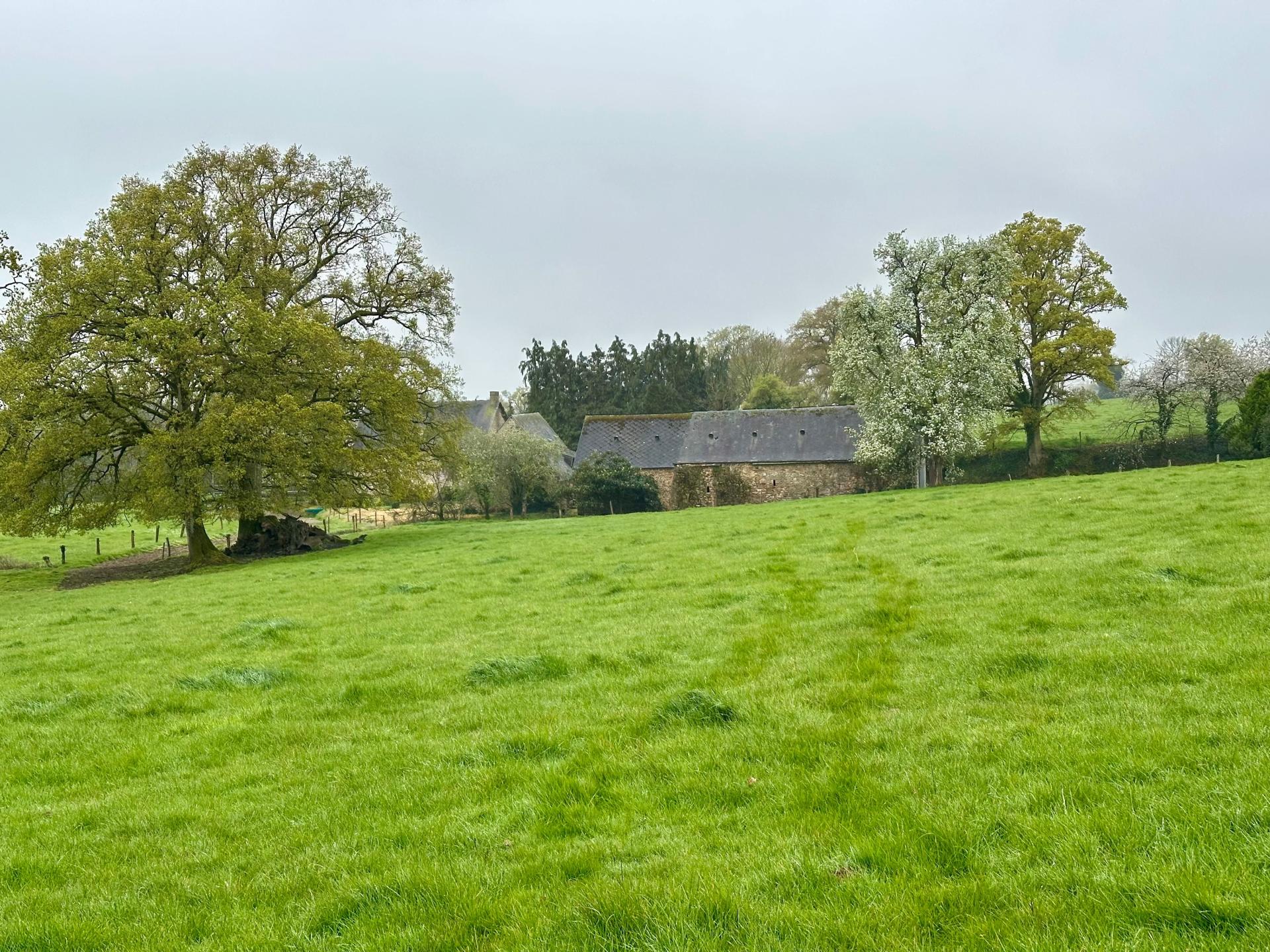 Miniature photo - 4 / 13