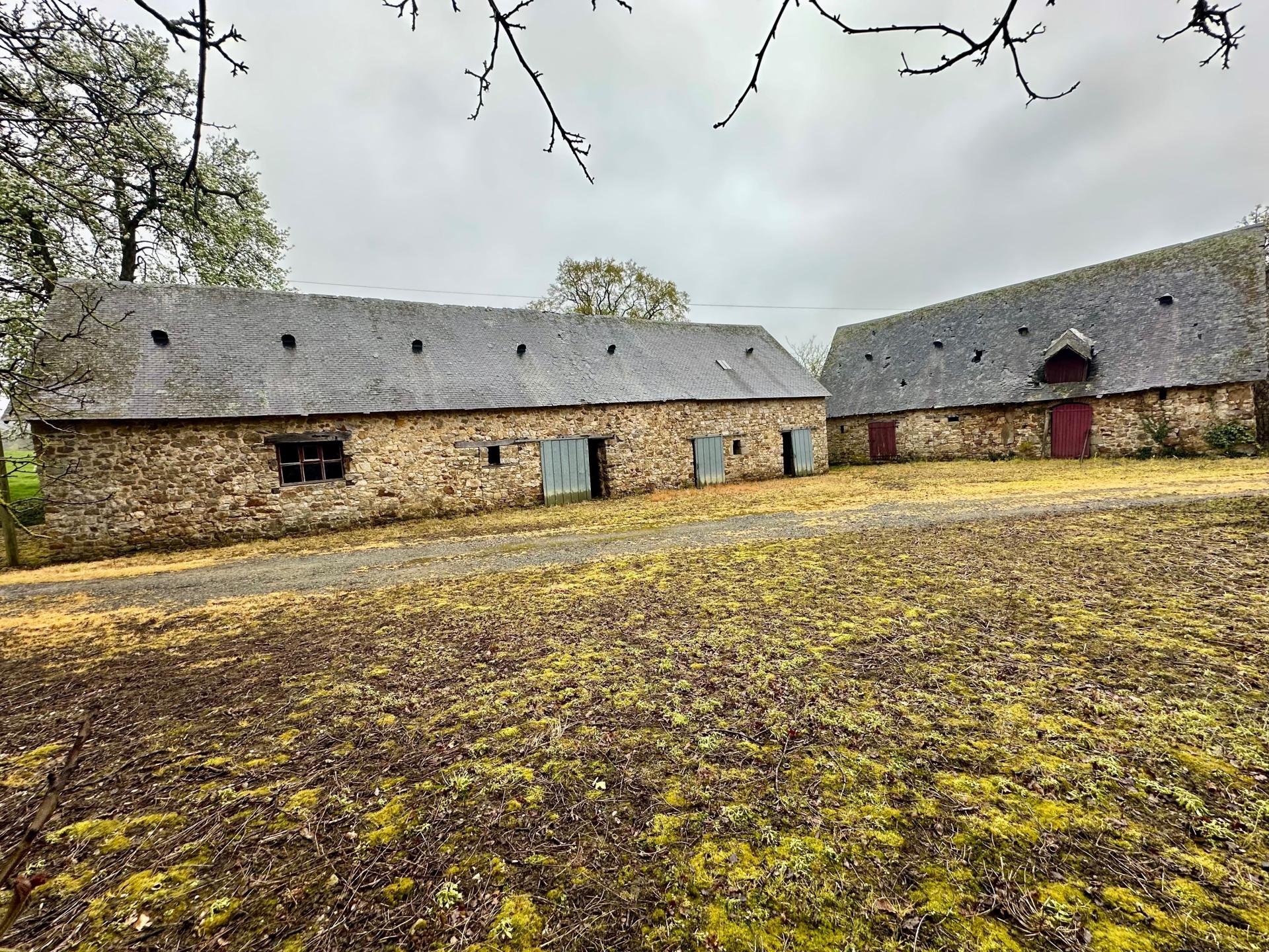 Miniature photo - 2 / 13