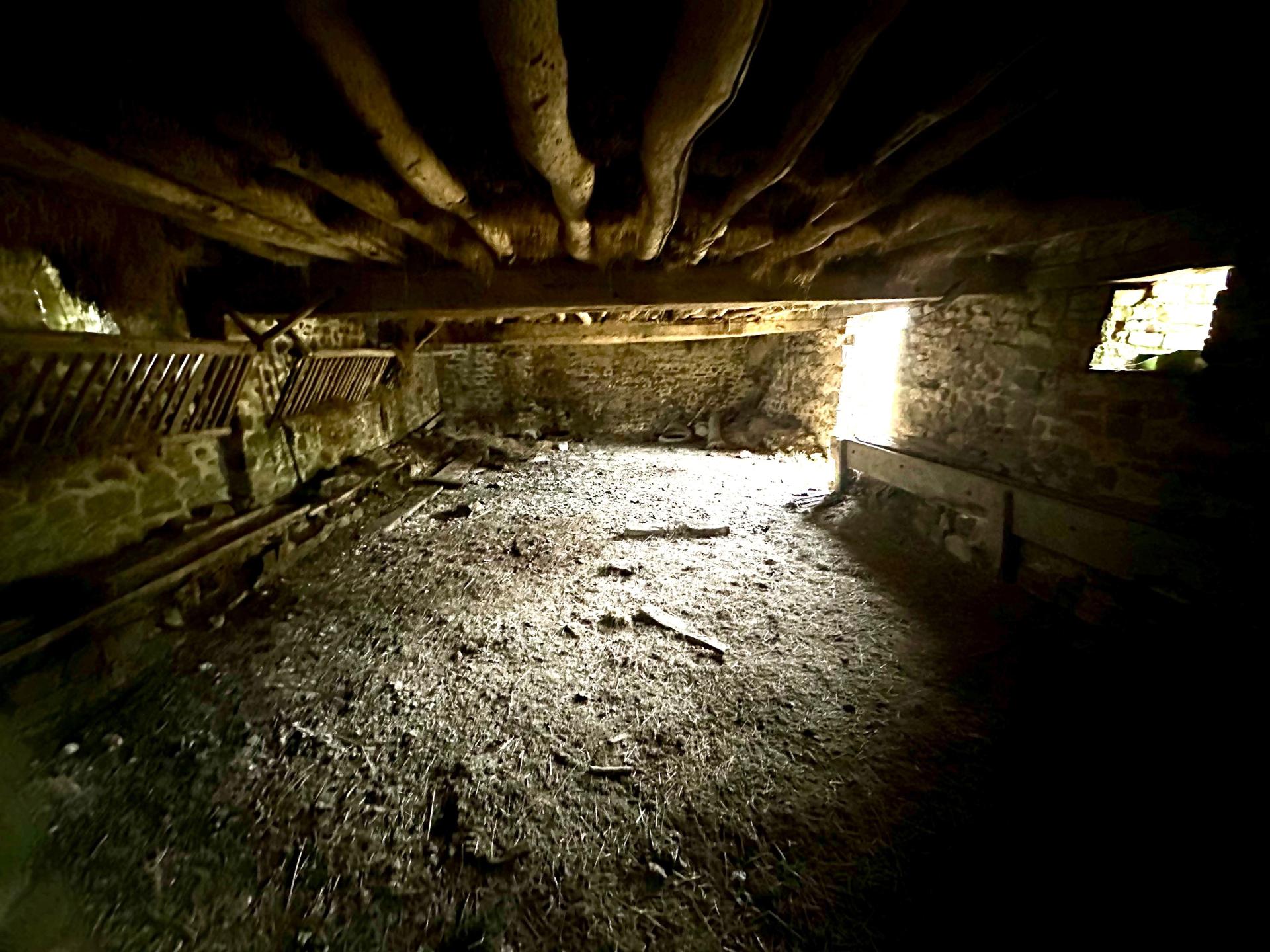 Miniature photo - 10 / 13