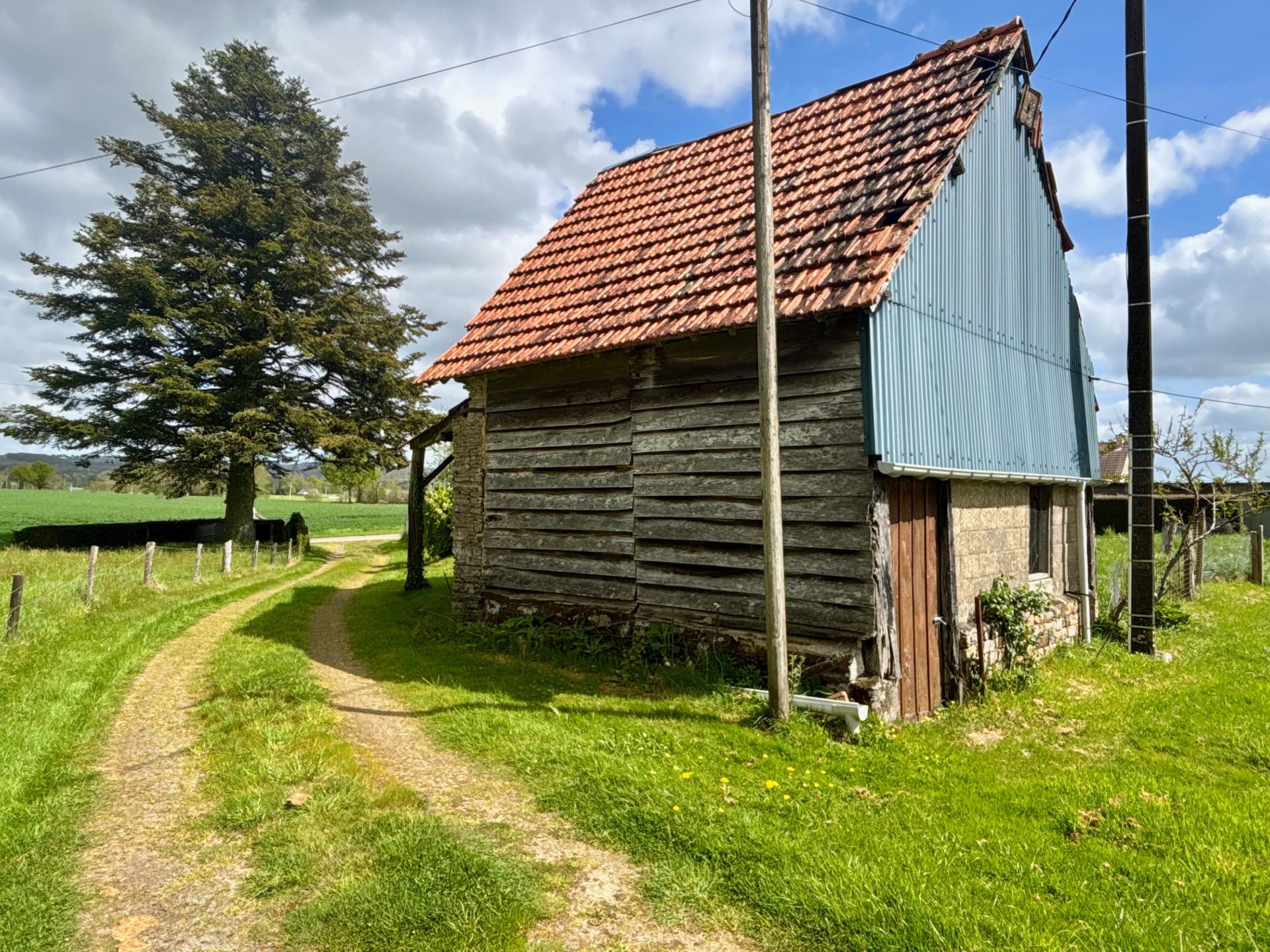 Miniature photo - 11 / 11