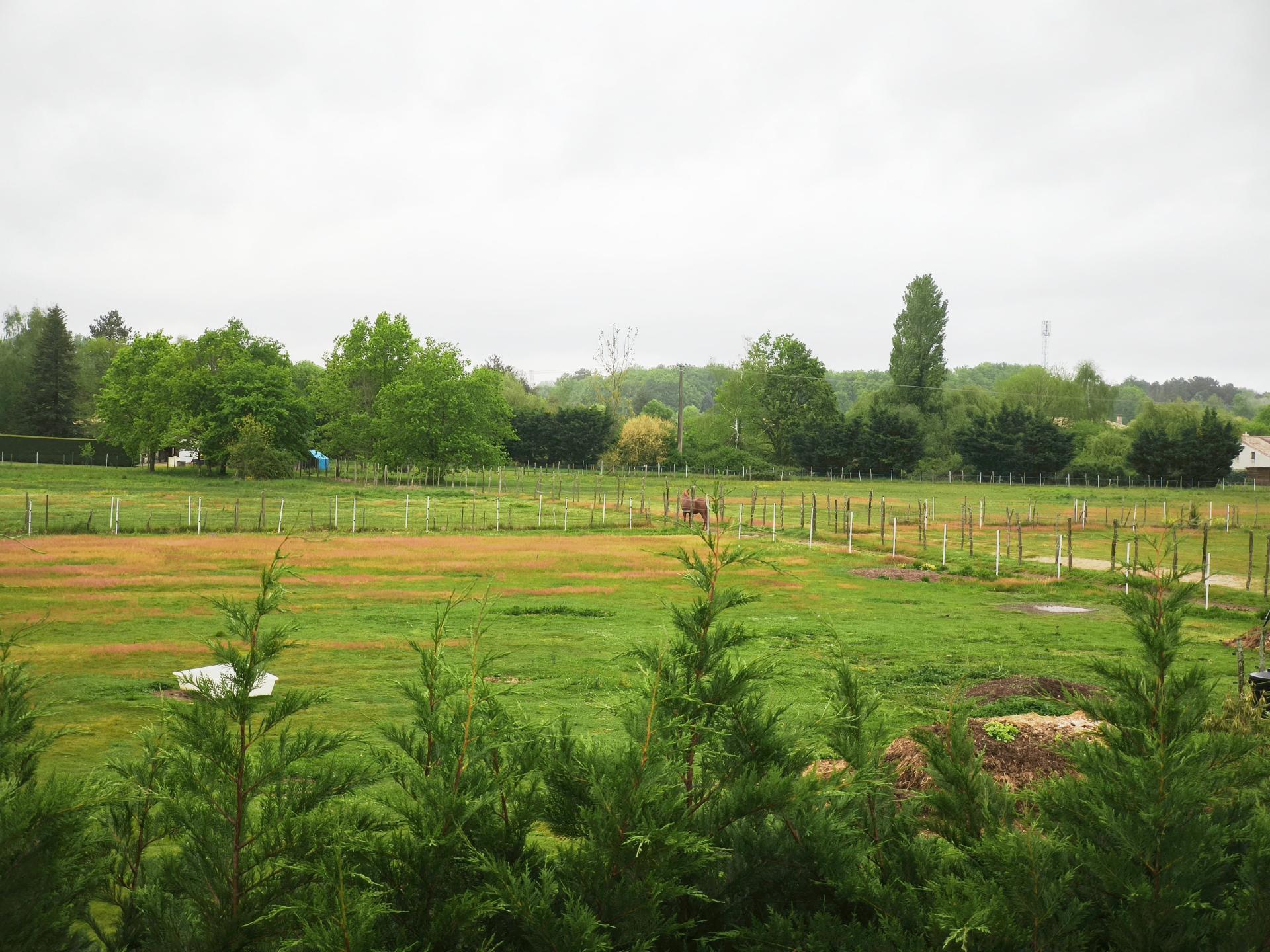 Miniature photo - 15 / 16