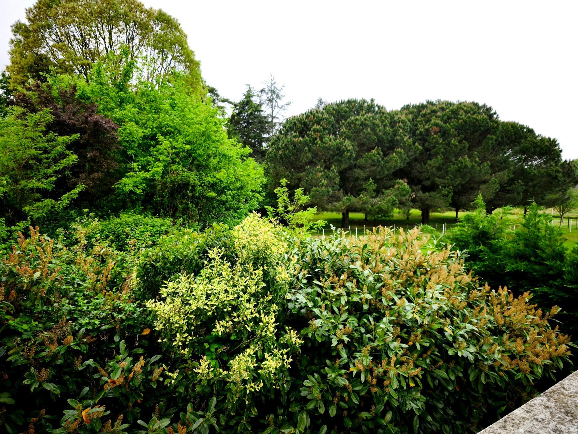 Miniature photo - 12 / 16