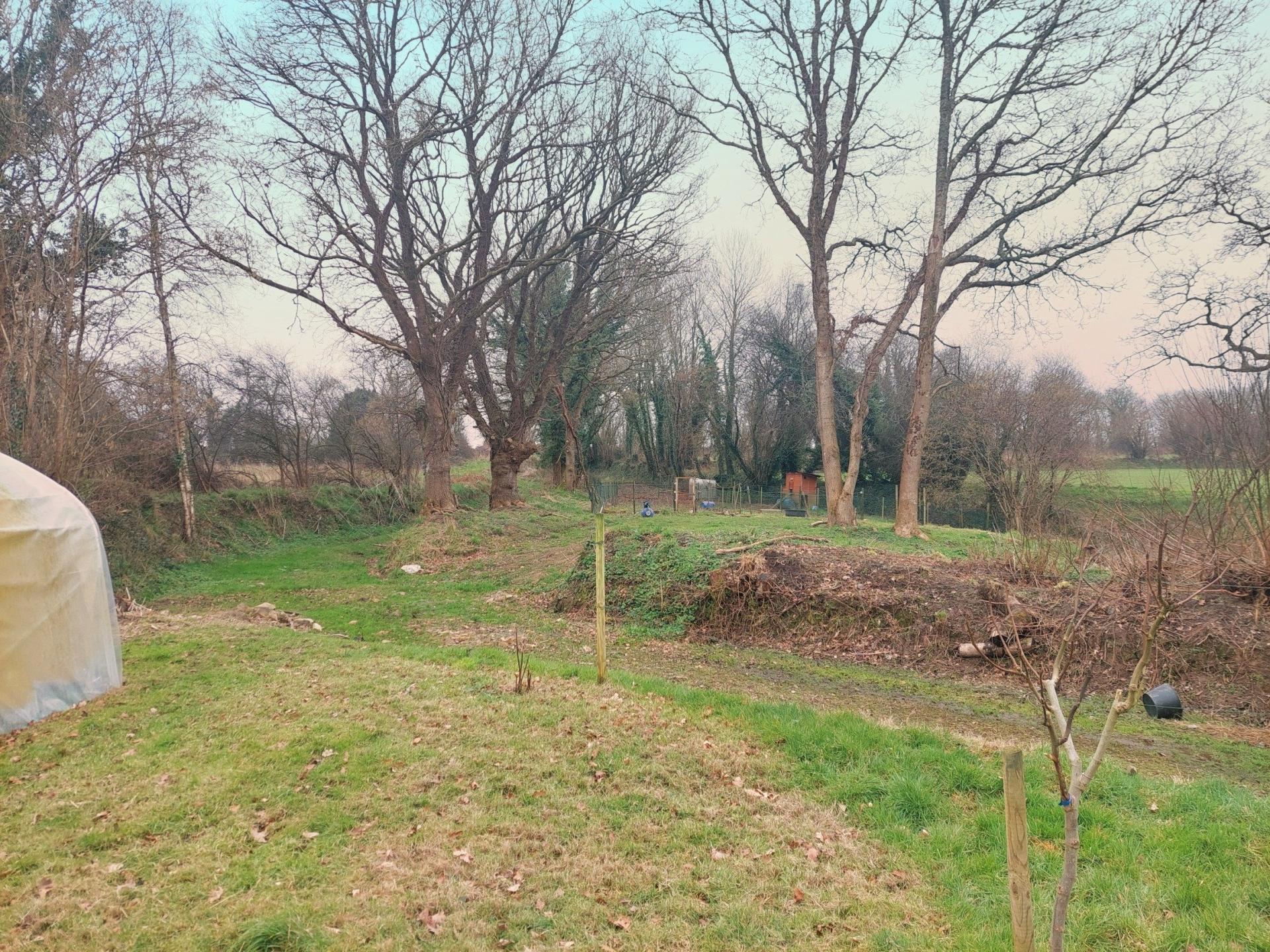 Miniature photo - 11 / 11
