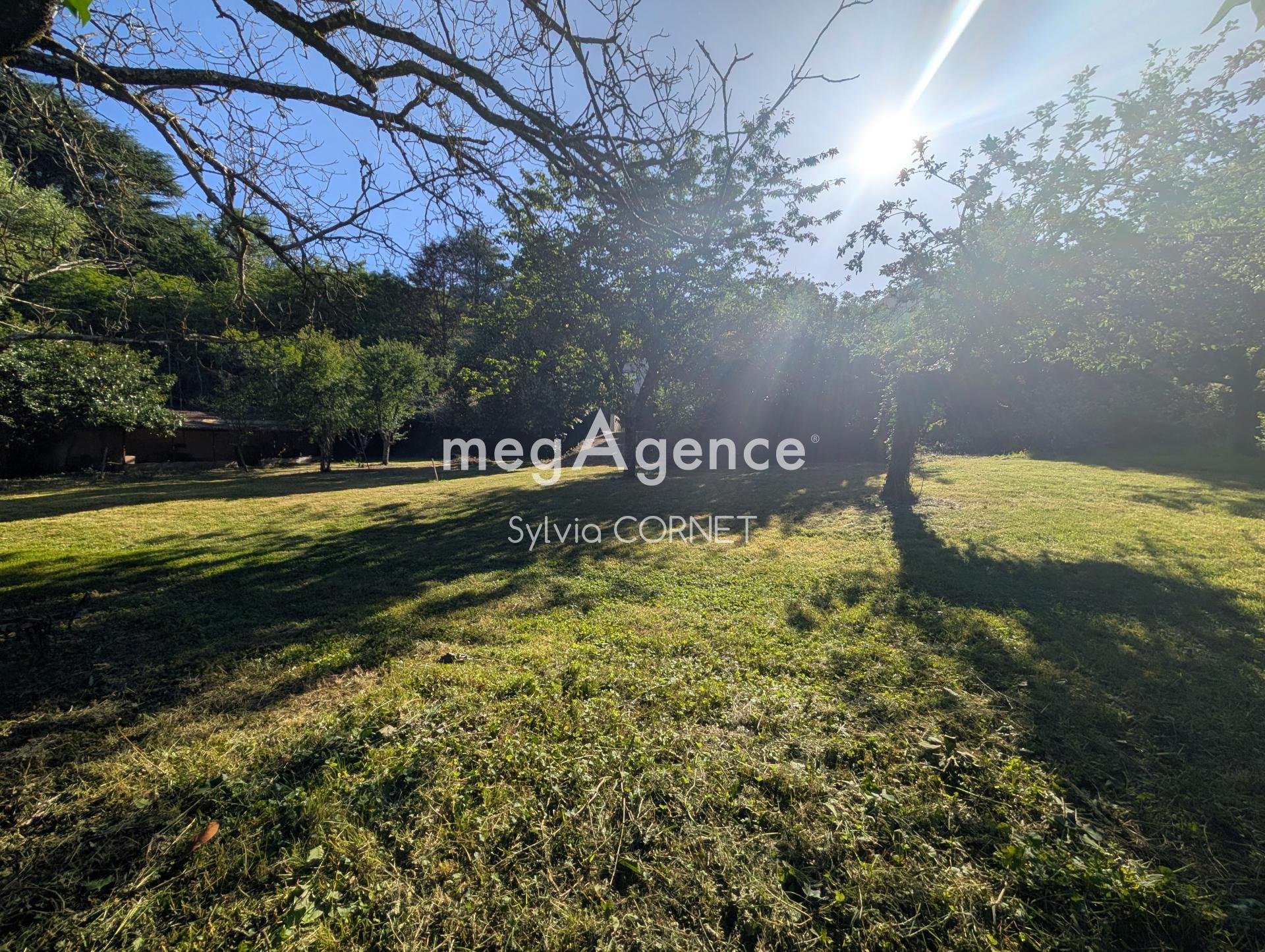 Miniature photo - 2 / 2