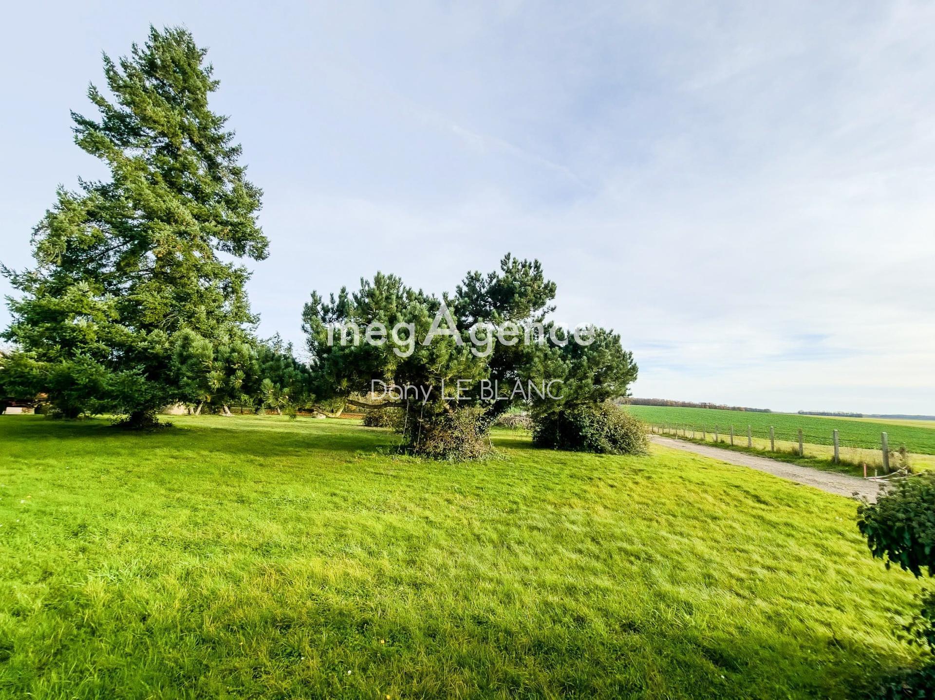 Miniature photo - 3 / 3