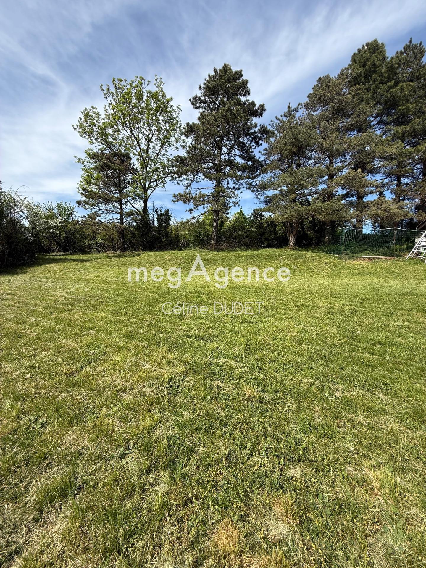 Miniature photo - 10 / 16