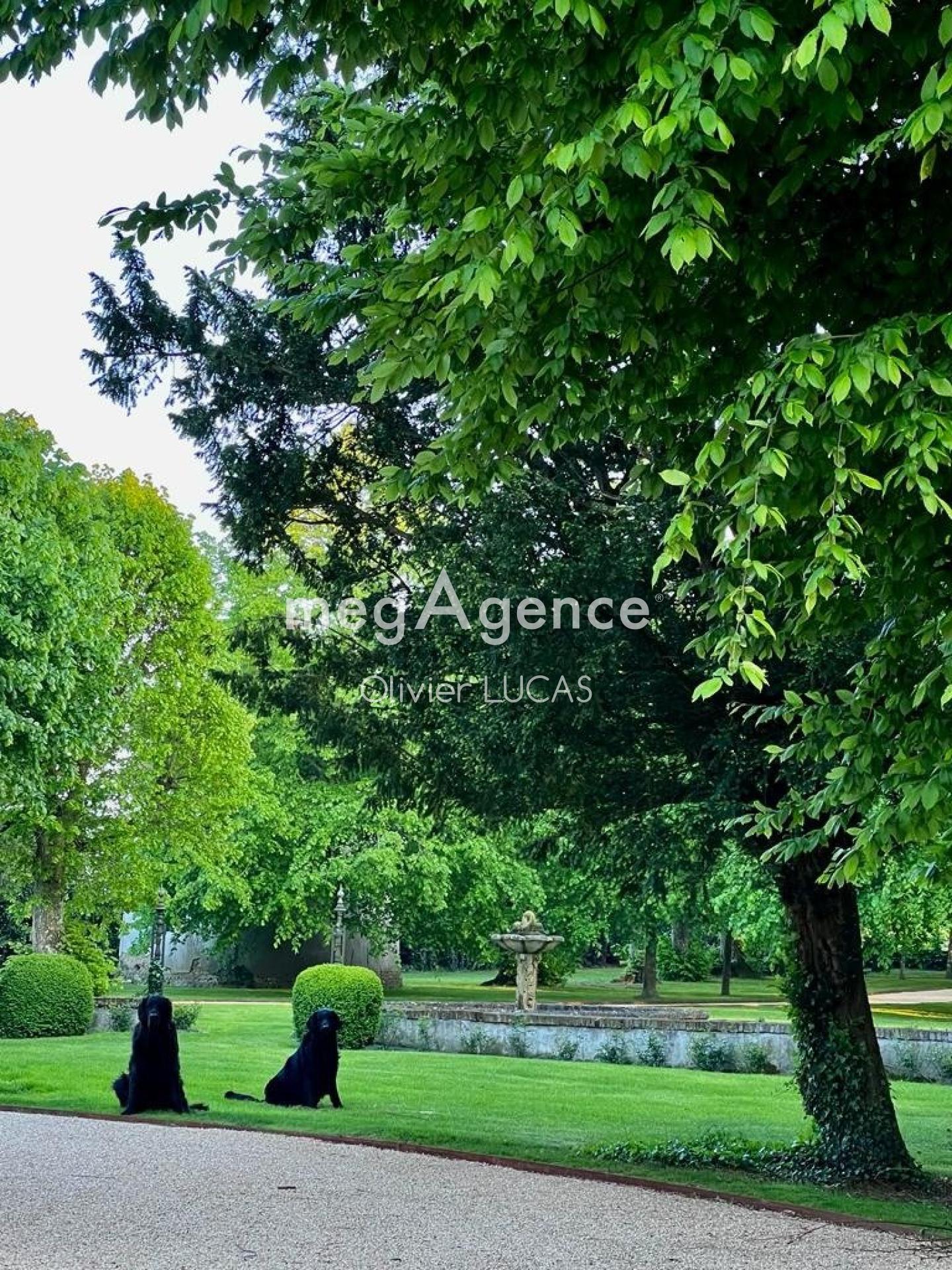 Miniature photo - 16 / 20