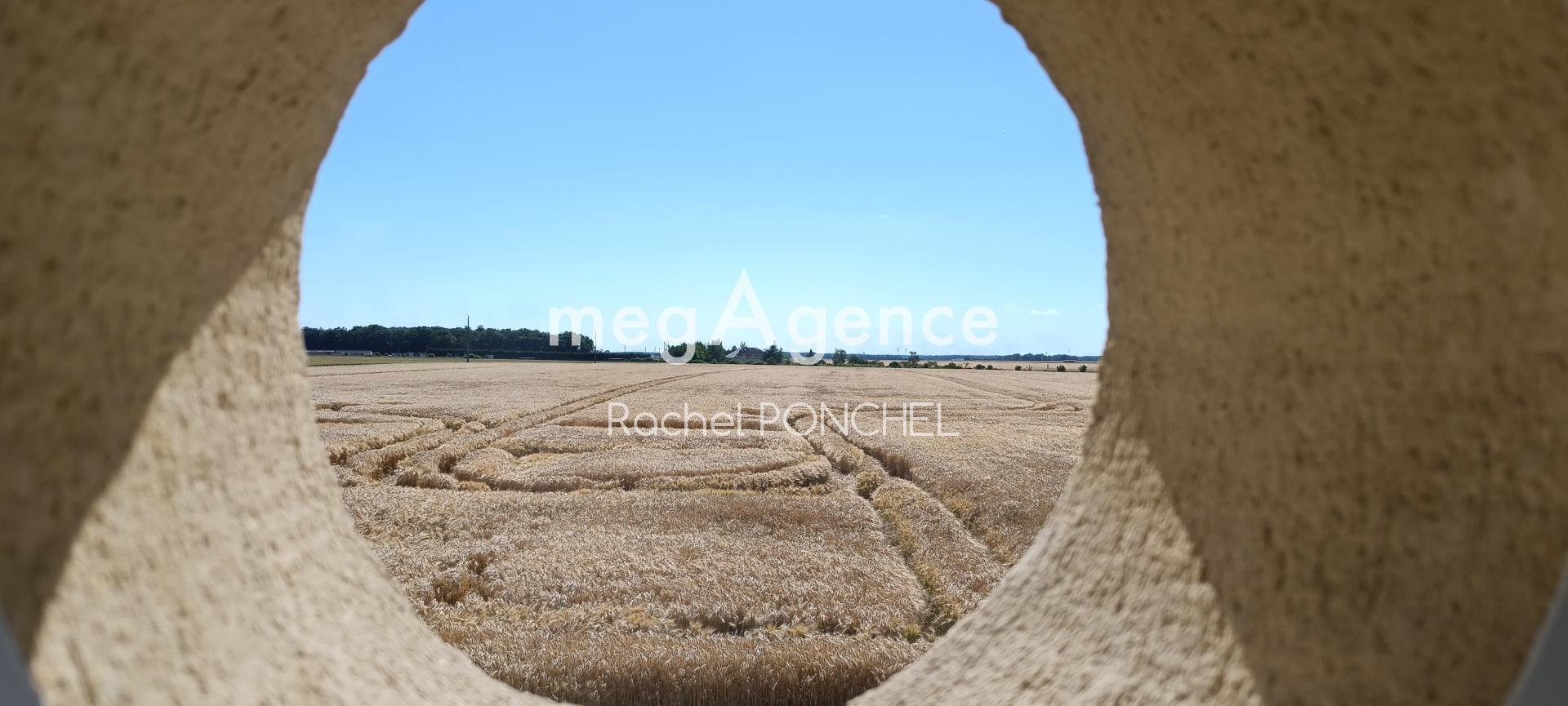 Miniature photo - 11 / 11