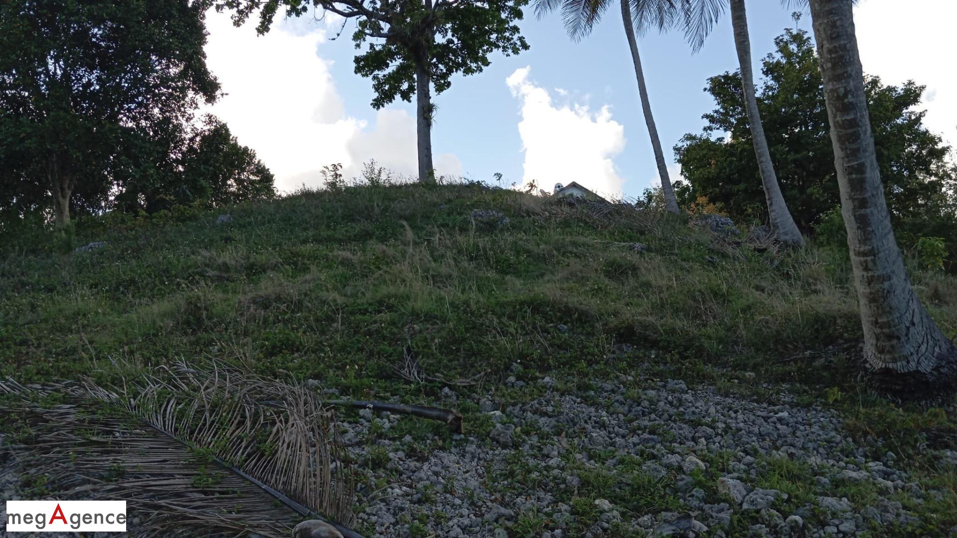 Terrain 2995 m² · au Gosier · 2 995 m² · 314 500 €